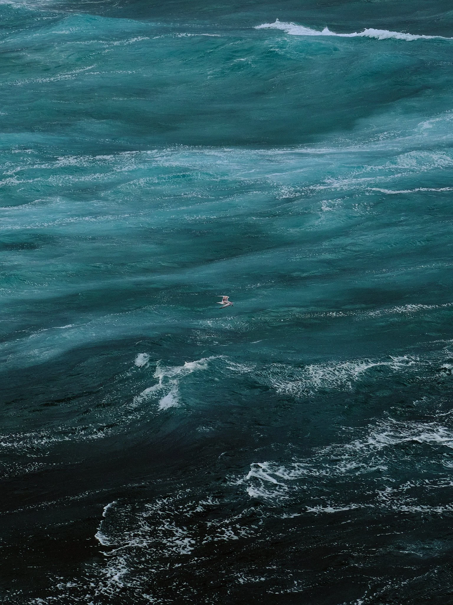 Expansive ocean scene with waves and sea foam; a solitary bird flying above the water.
