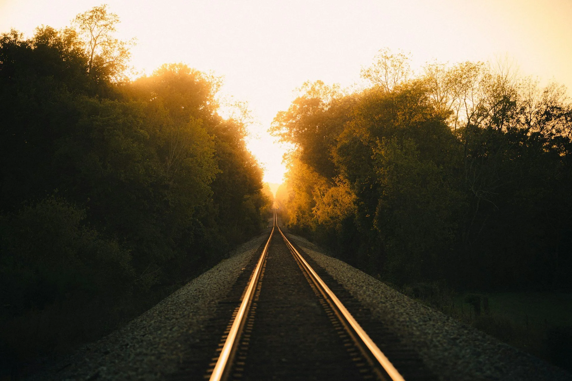 Tracks