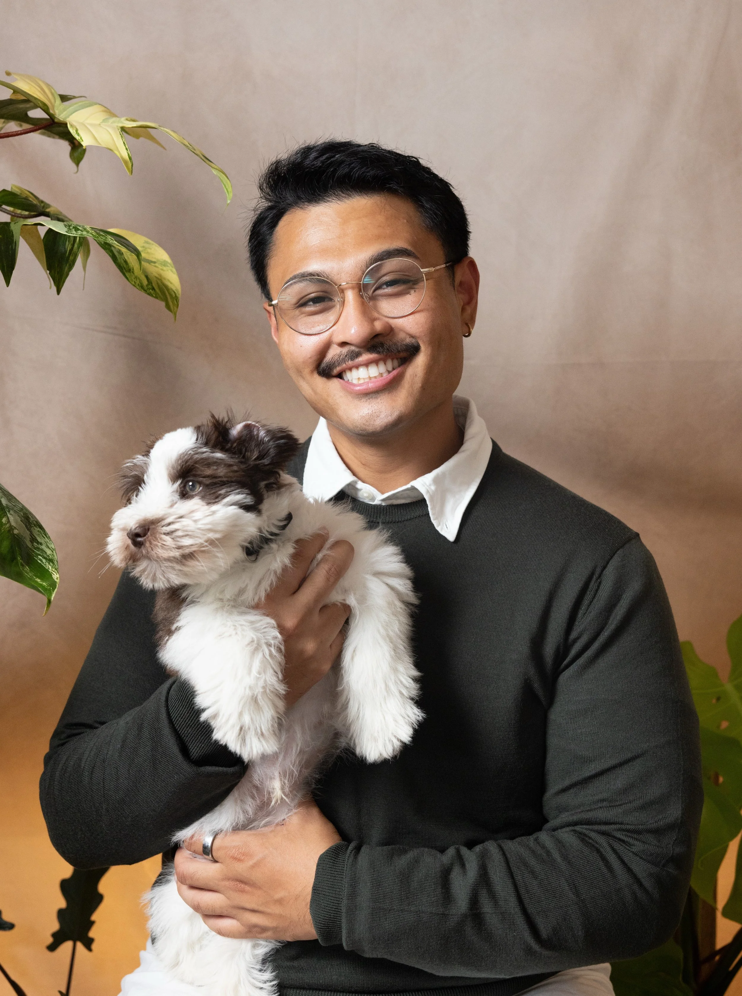 A man with glasses and a mustache smiling while holding a black and white puppy. He is wearing a white shirt underneath a dark sweater, and is sitting indoors. There are green plants and a beige wall in the background.