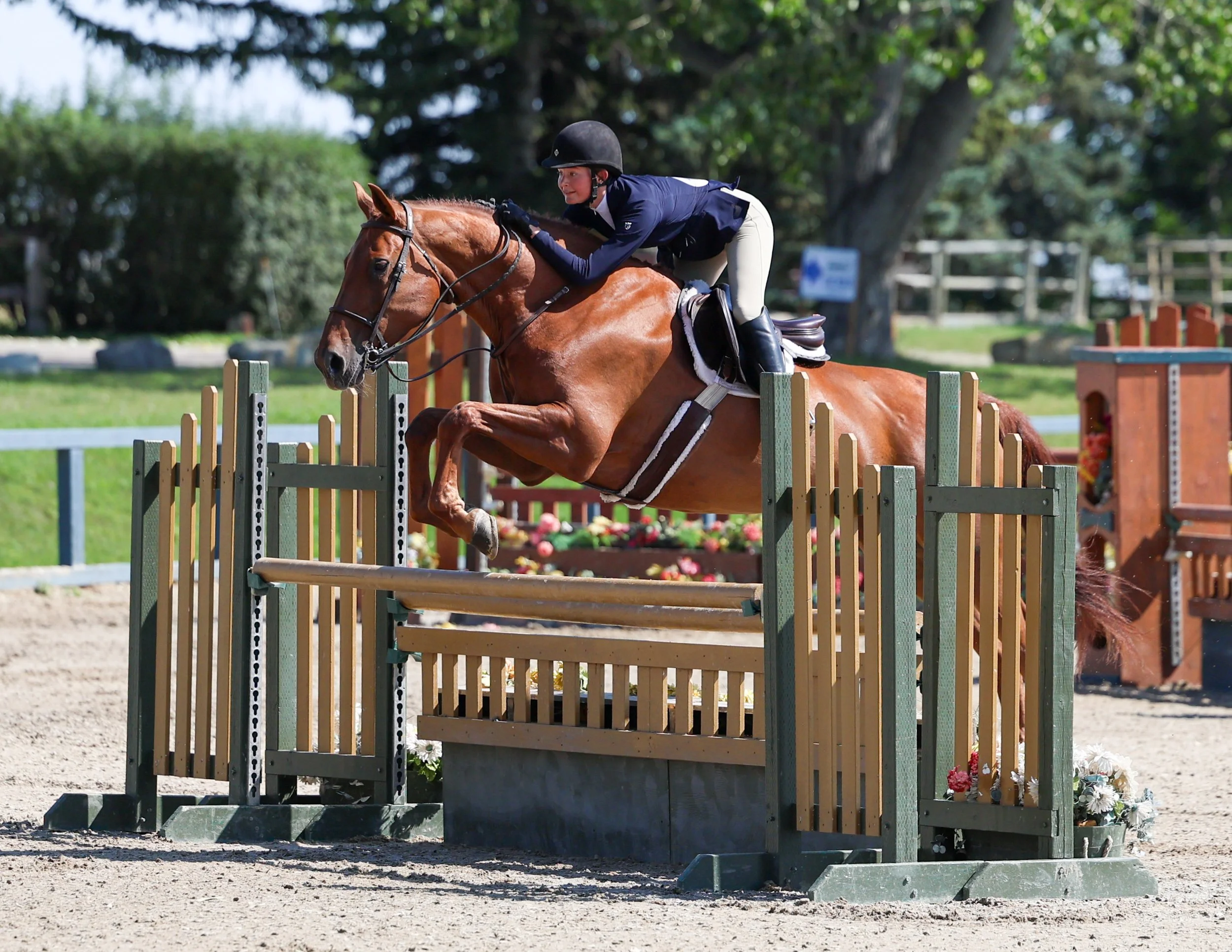 IMG_8175.jpg