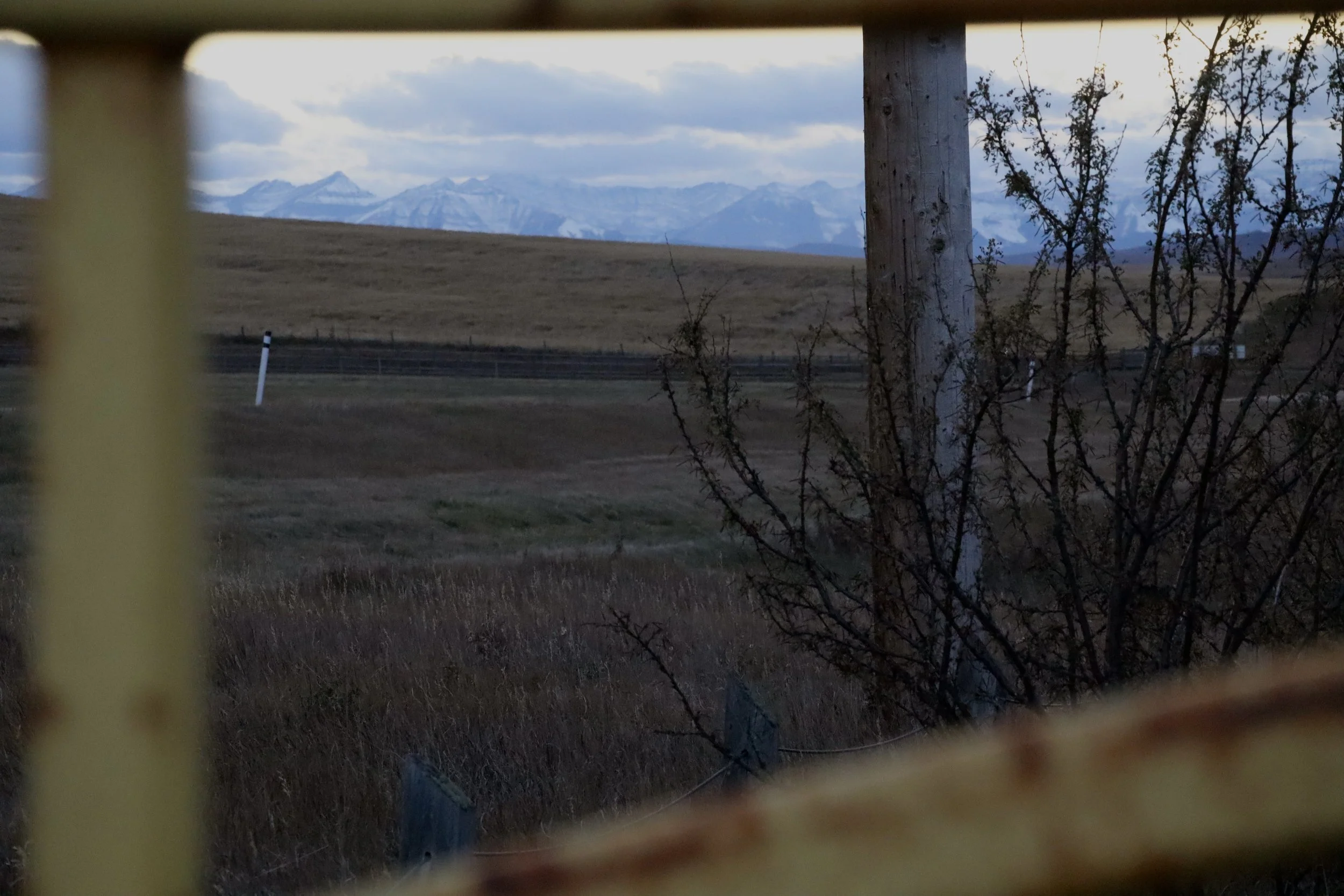 20251020 Autofocus EP 0826.jpeg