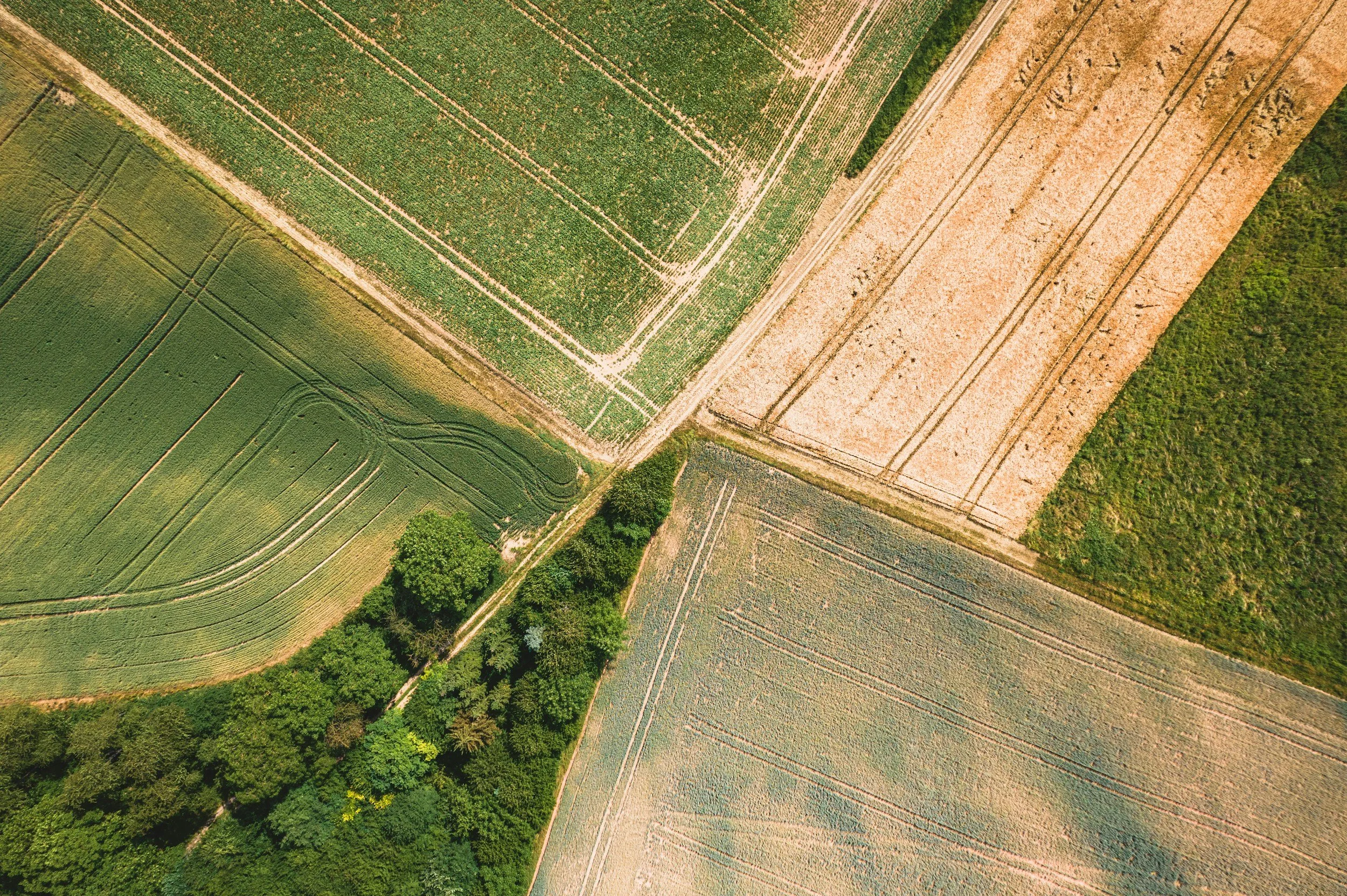 Aerial view of agricultural fields with green crops and plantings, separated by dirt roads and bordered by trees.