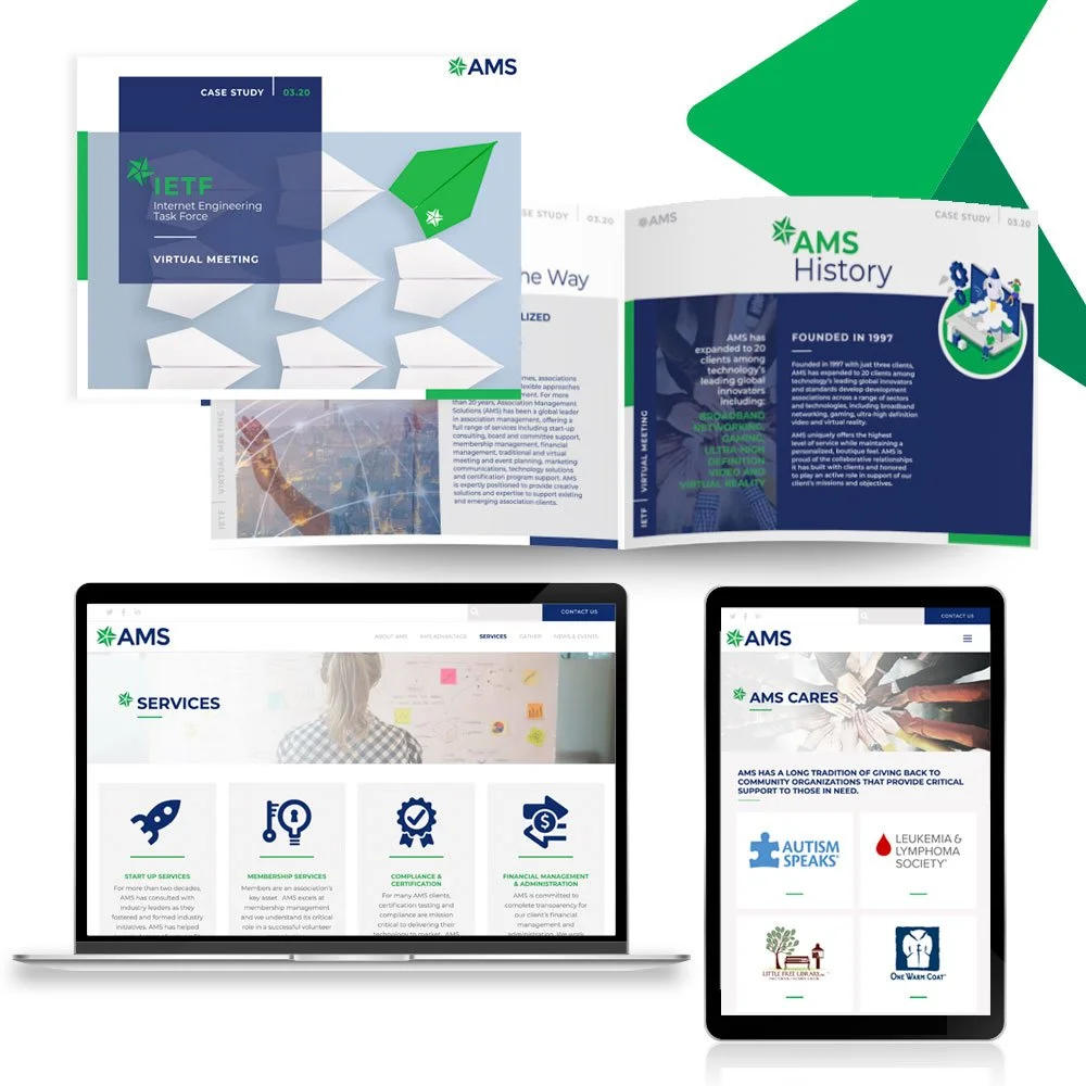 AMS / Brochure / Website Design