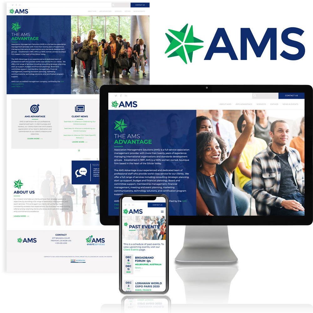 AMS / Logo / Website Design
