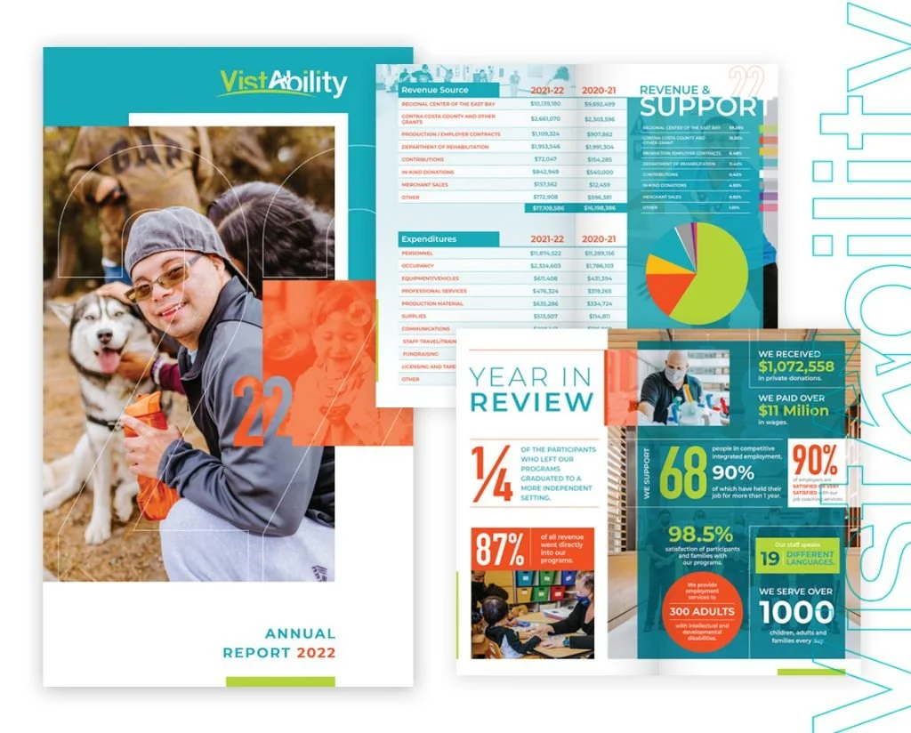 VistAbility  /  Annual Report