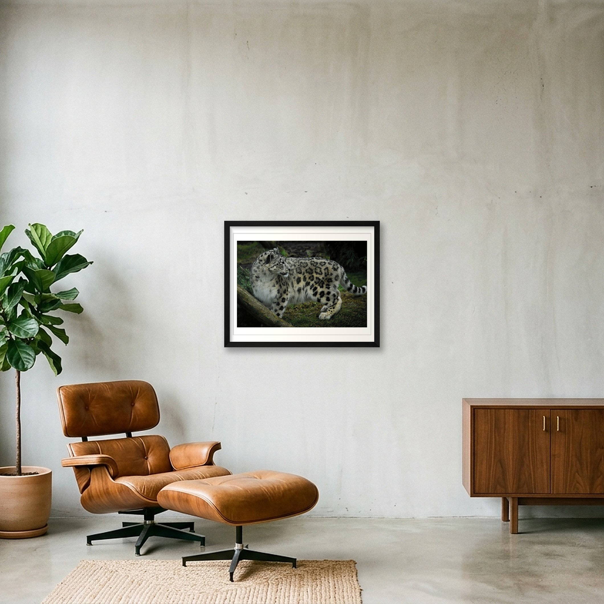shot_wall_ca6b1b28_932eeecb.jpg
