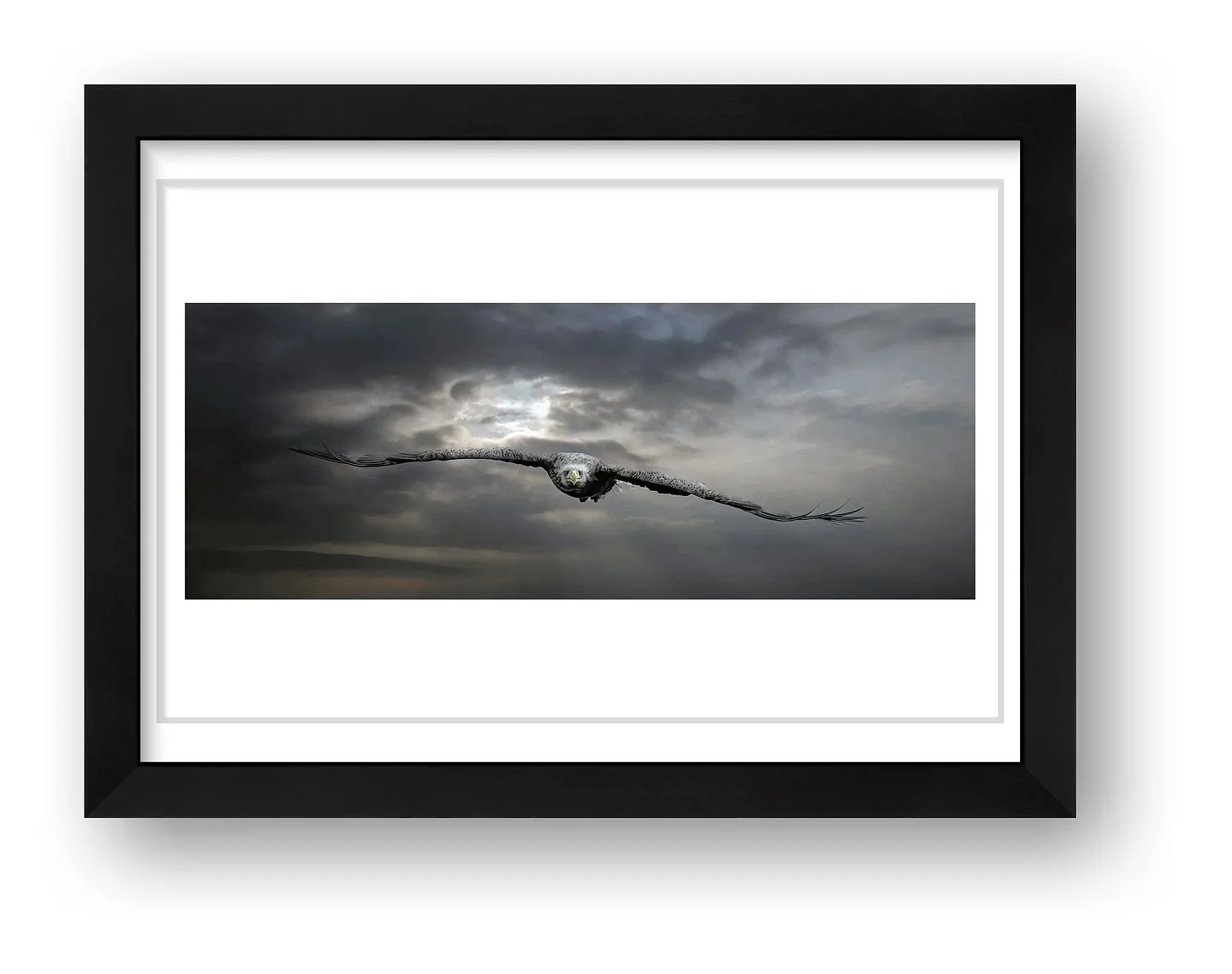 preview_f1ac1b13_cd83150b.jpg