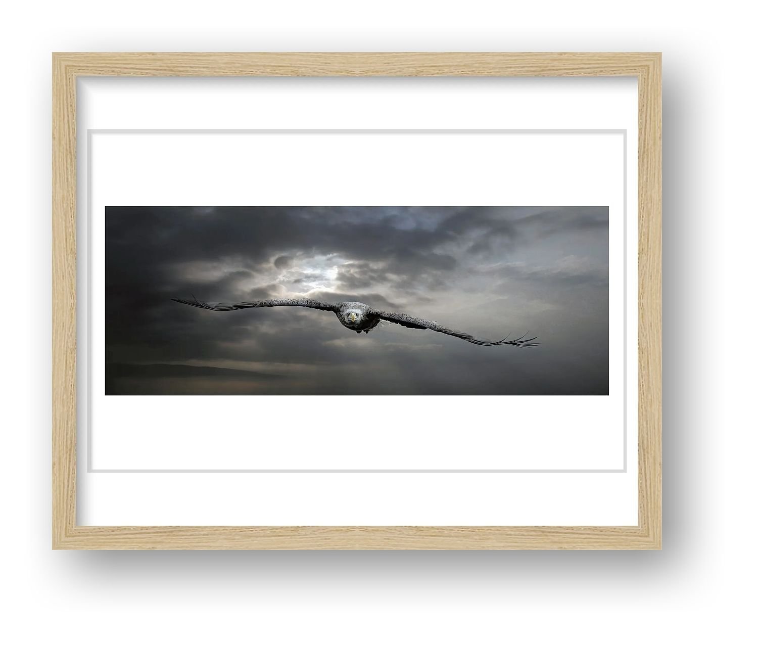 preview_d894106f_ebd58c8f.jpg