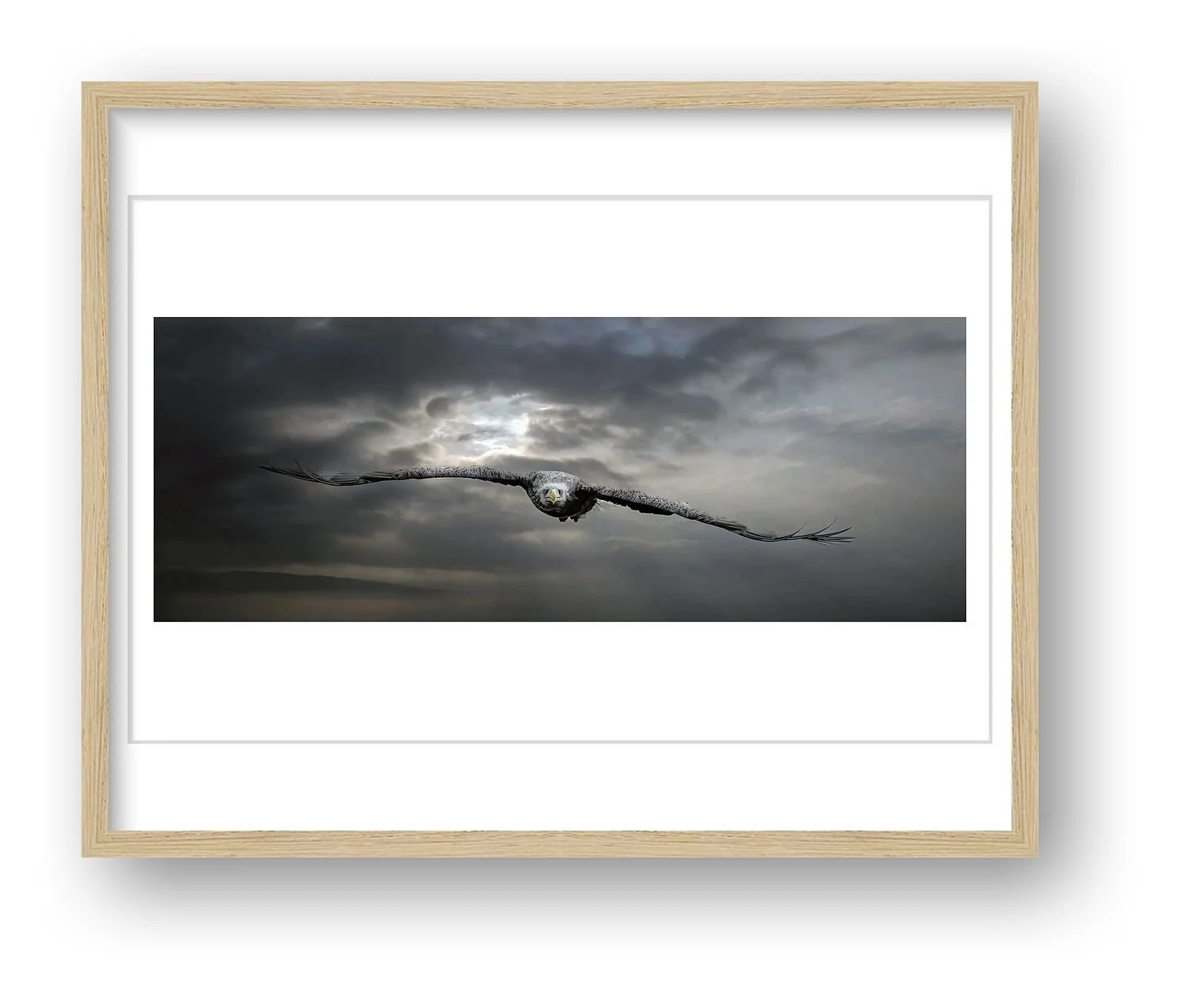 preview_5c7ee94c_2cb867a9.jpg