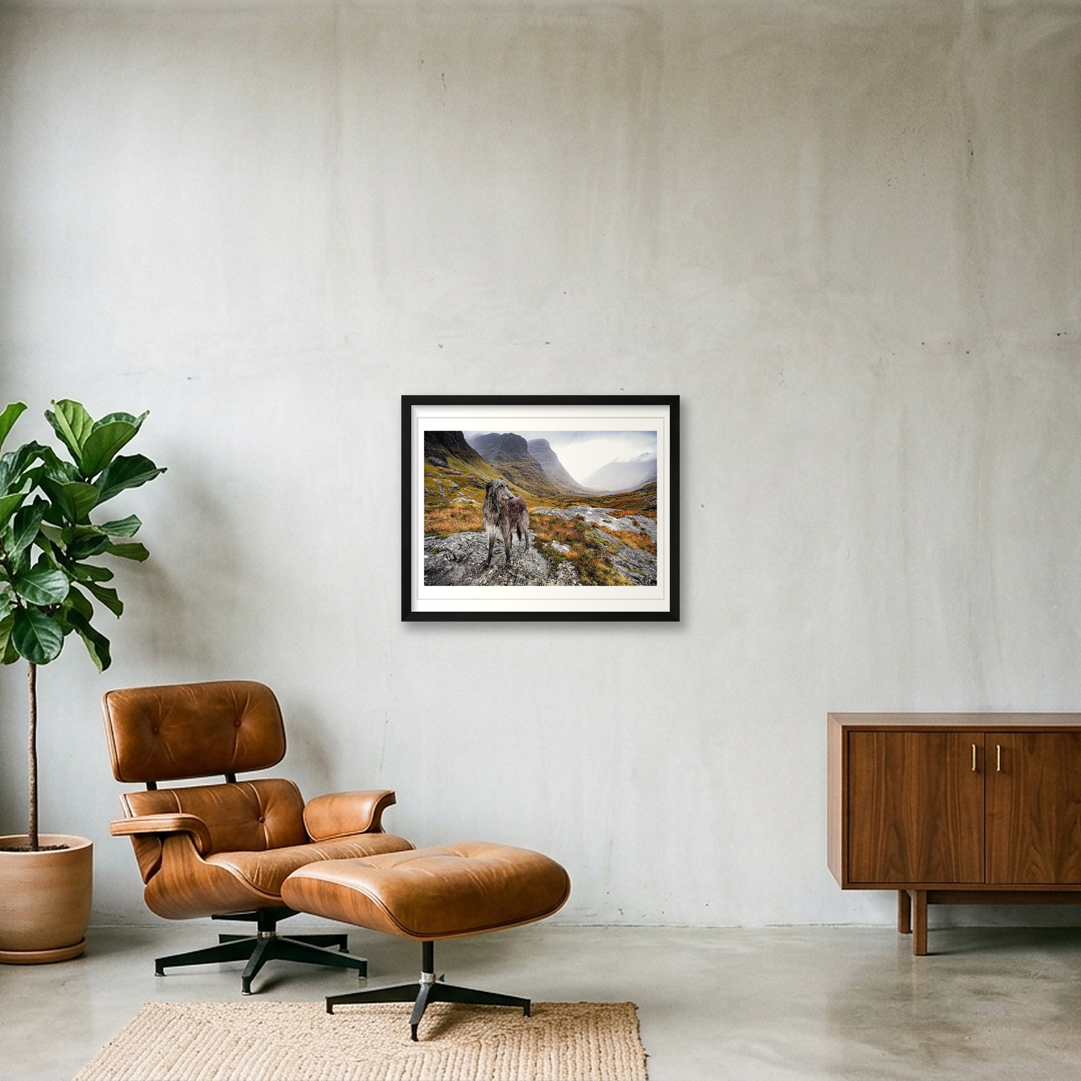 shot_wall_65b25d9b_f8ac3de2.jpg