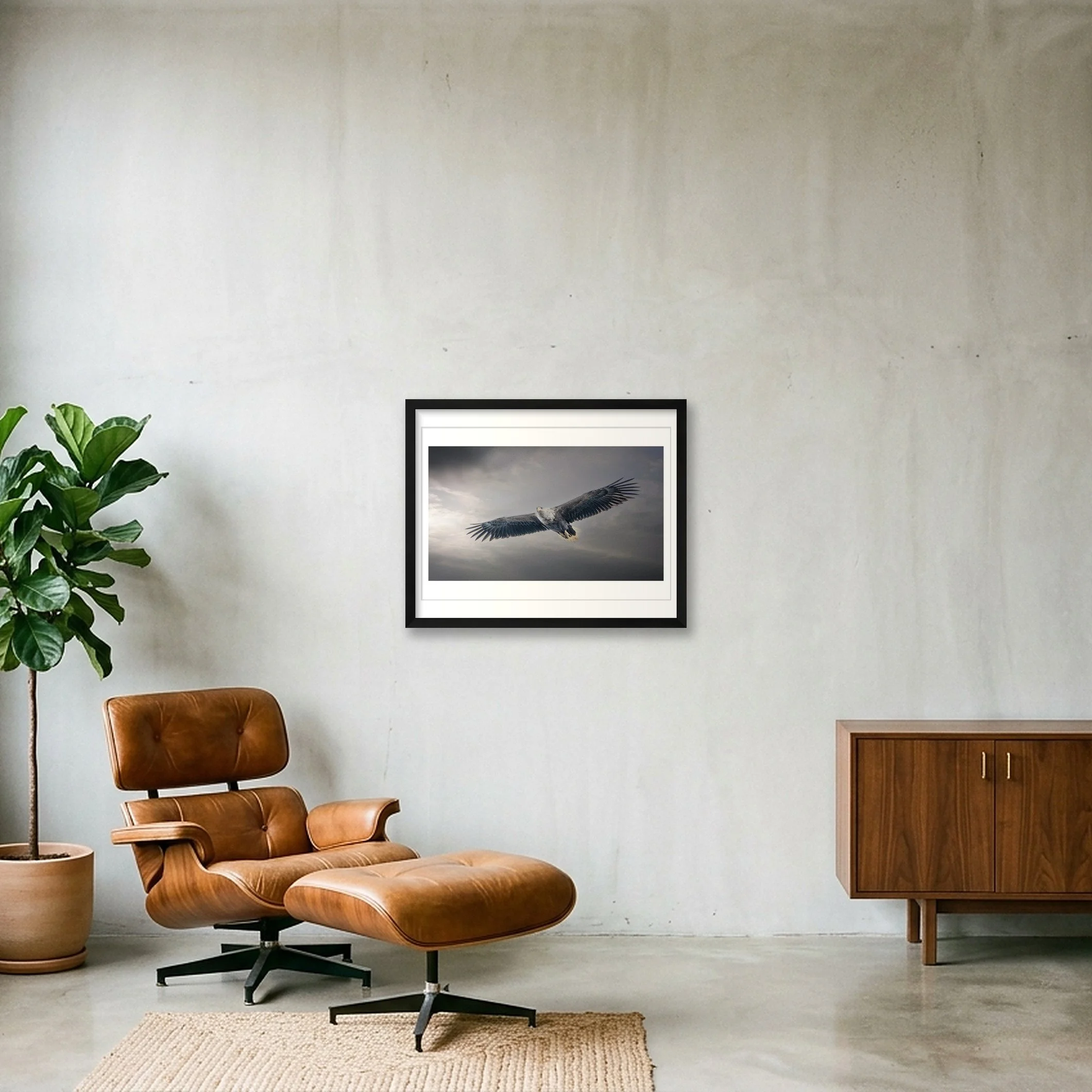 shot_wall_eceaa1ff_8247e729.jpg