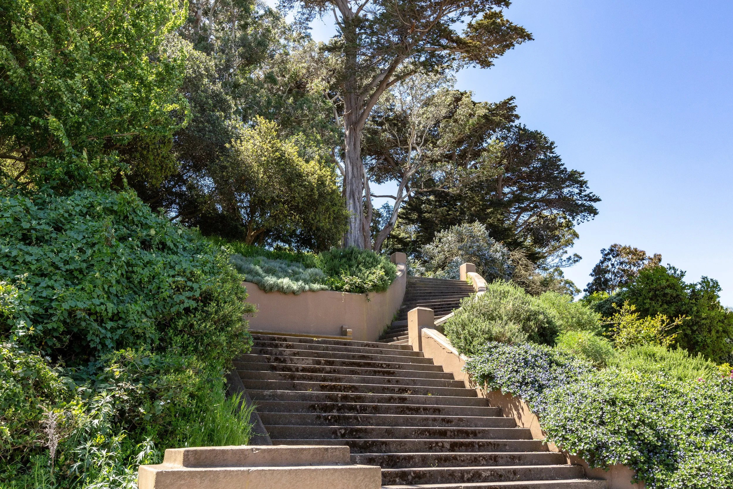 Buena Vista Park 3.jpg