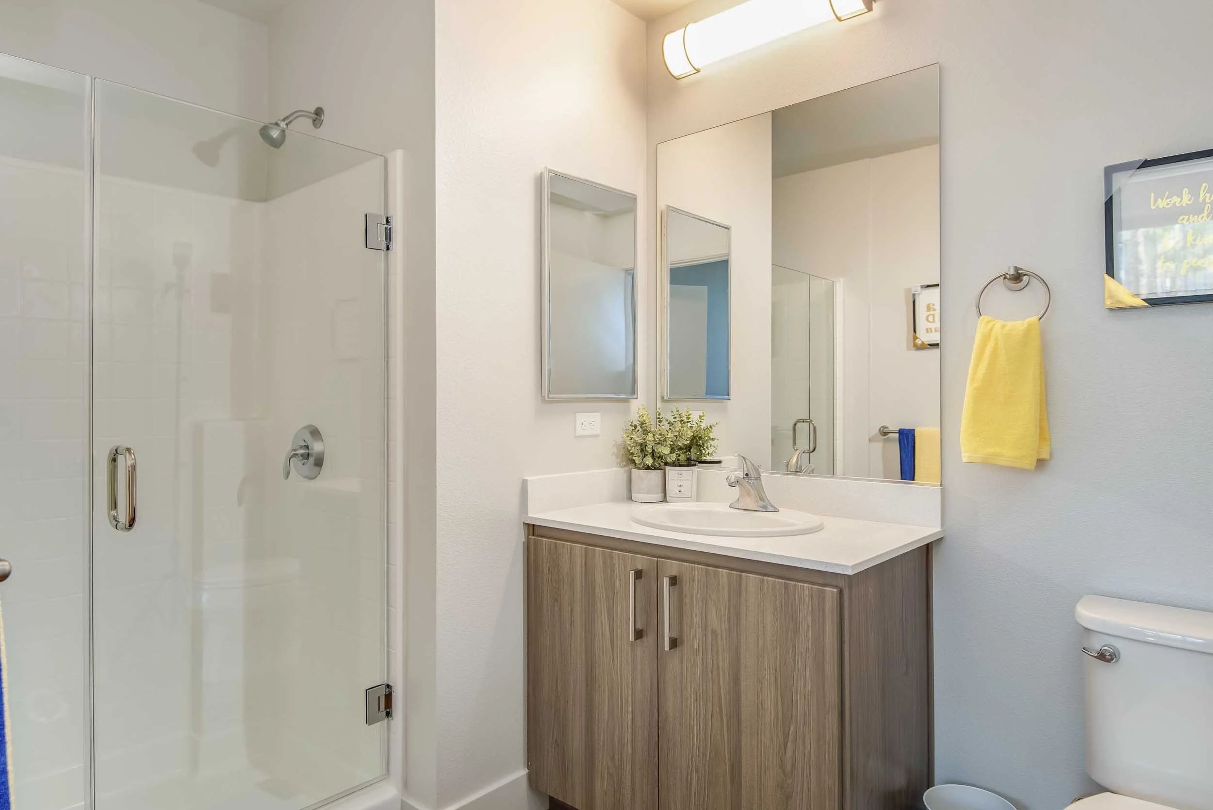 A modern bathroom featuring a glass shower enclosure on the left with a silver door handle and a showerhead. In the center, there's a white sink with a silver faucet, a wooden vanity with two cabinet doors, and a small potted plant. Above the sink, a