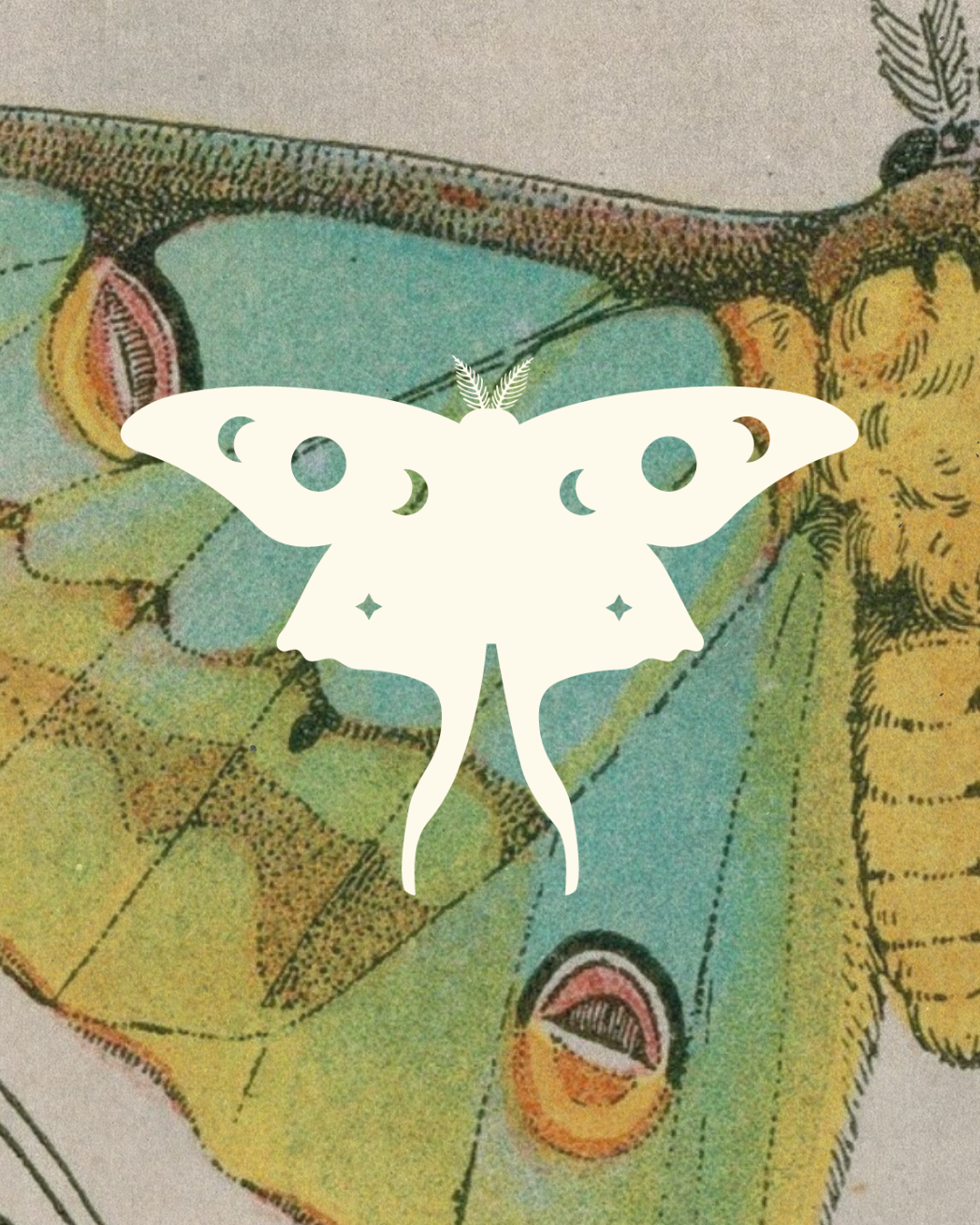 Simple Luna Moth Symbolic Spiritual Logo Design