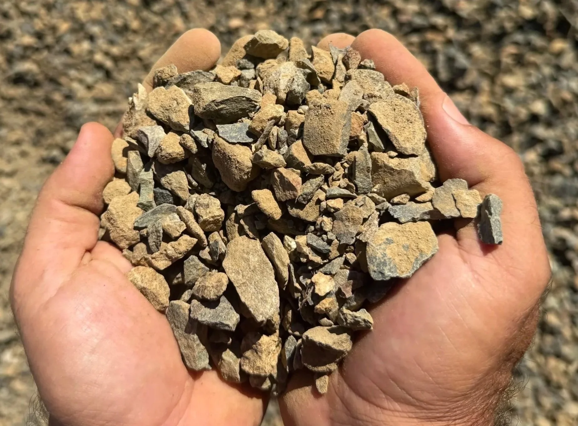 Person holding a handful of small rocks and gravel outdoors on dry, brown soil.