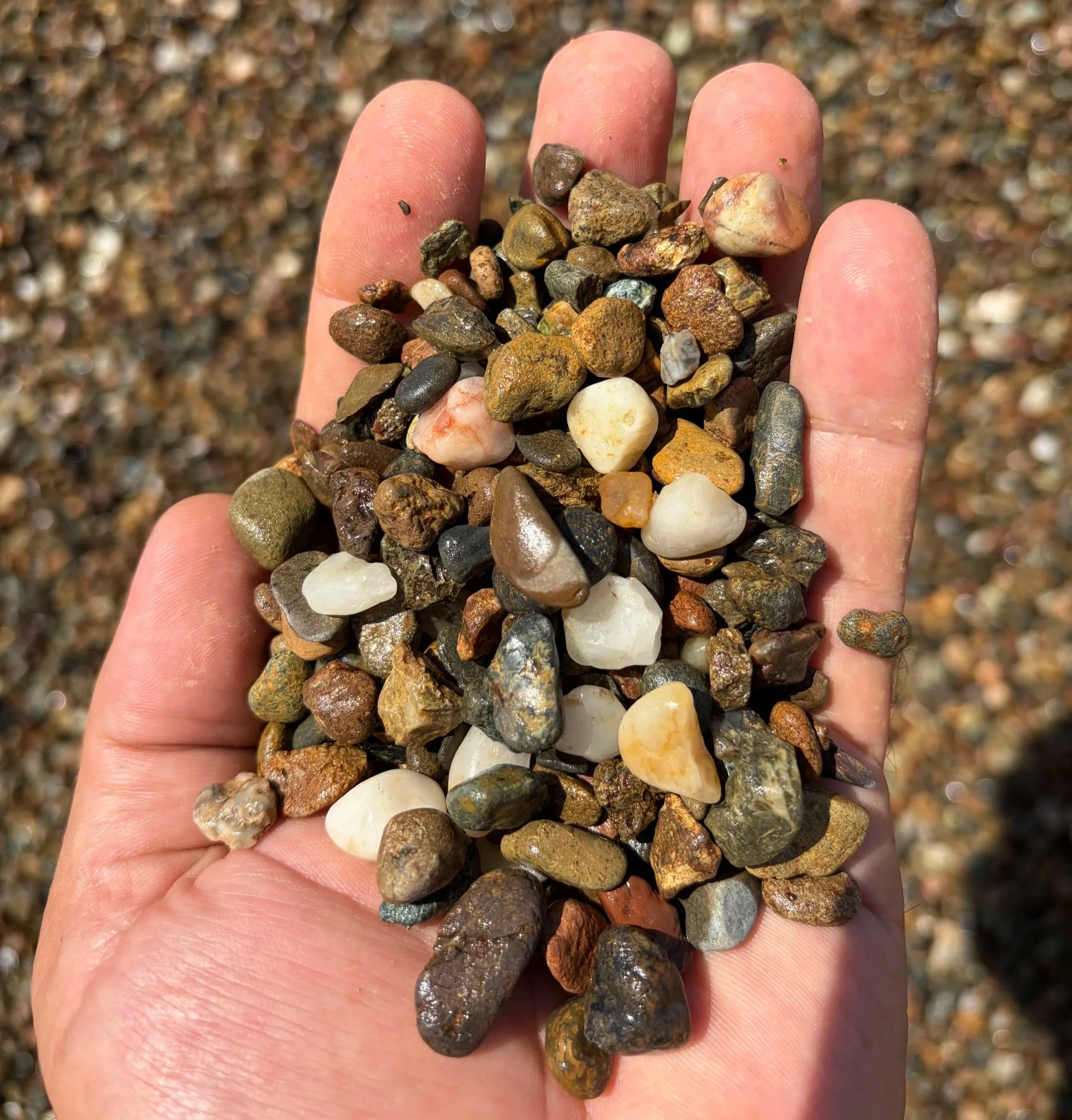 Person holding small multicolored rocks or pebbles outdoors with a background of more rocks.