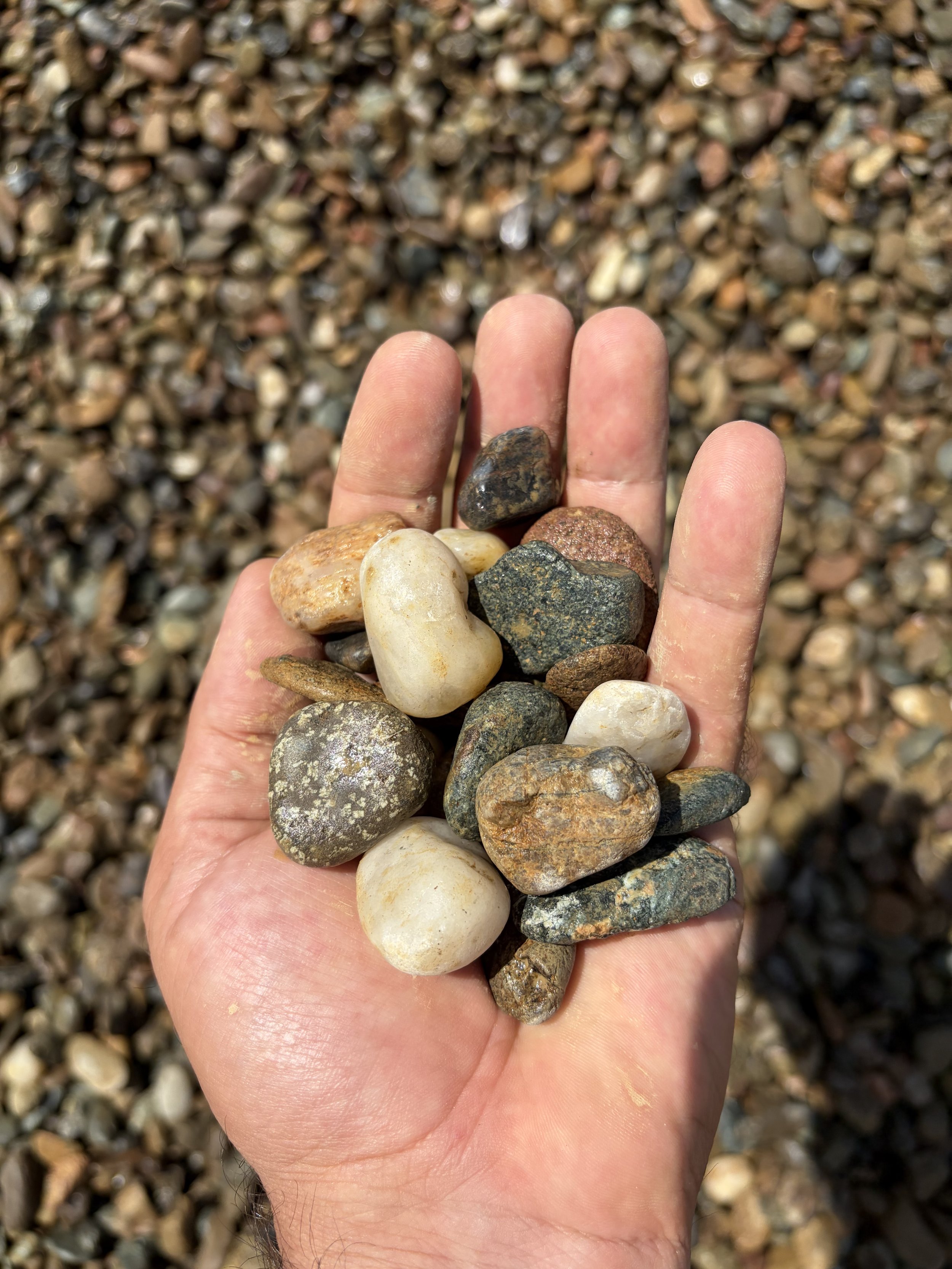 Close-up of a hand holding an assortment of small, smooth stones with a gravel background.