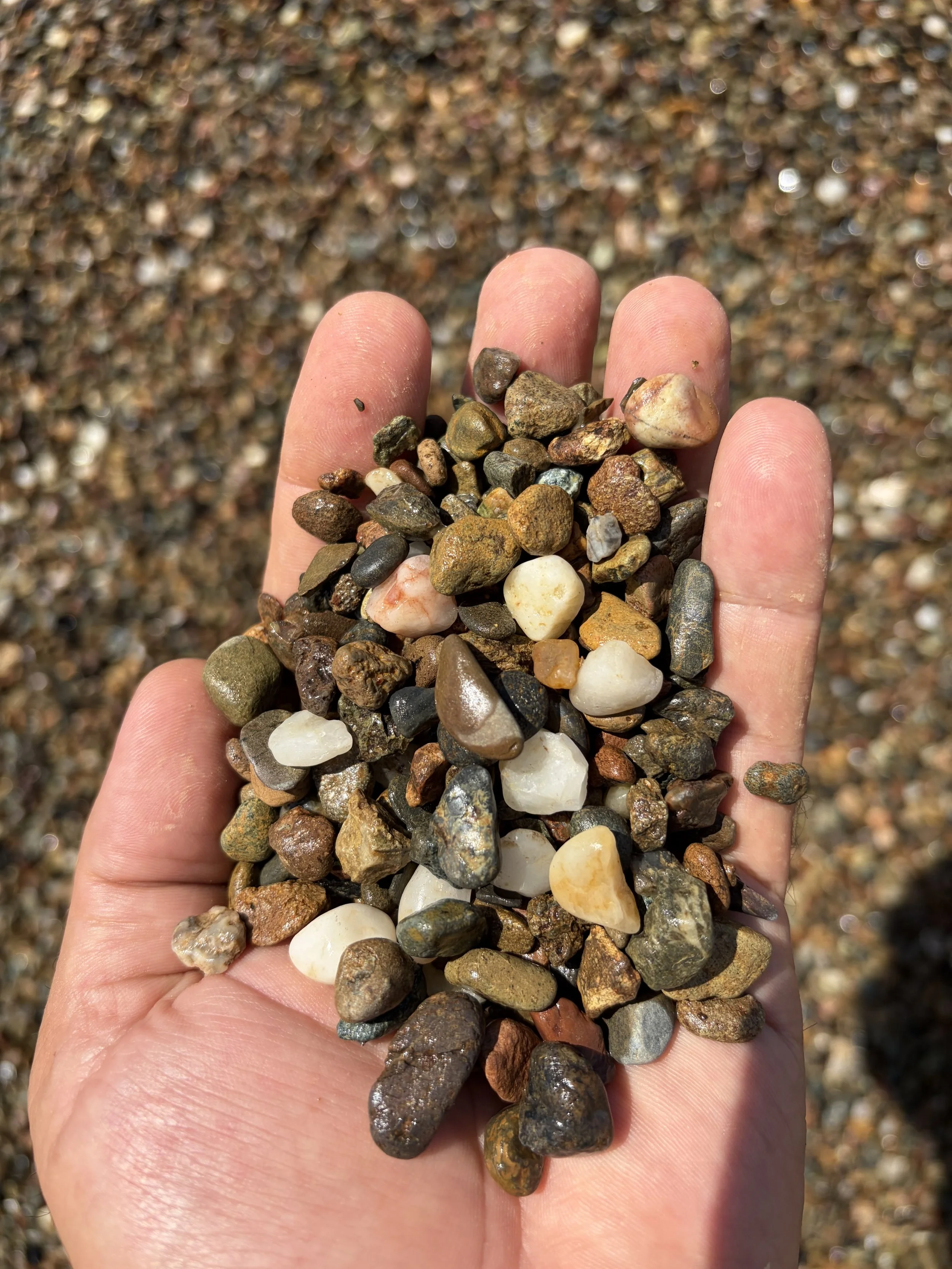 A hand holding a collection of small, smooth rocks with a background of a sandy or pebbly surface.