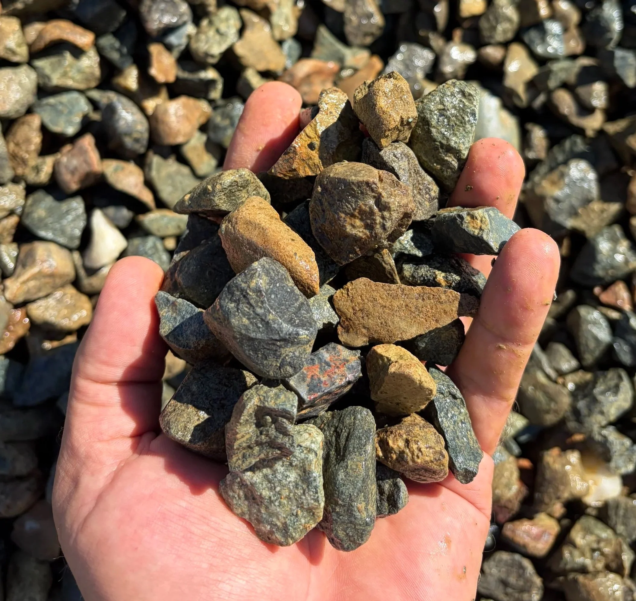 A person holding a handful of various small rocks or gravel with more rocks in the background.