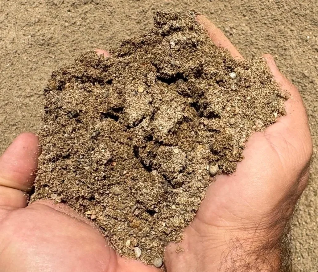 Close-up of a hand holding a pile of moist sand or dirt on a sandy surface.