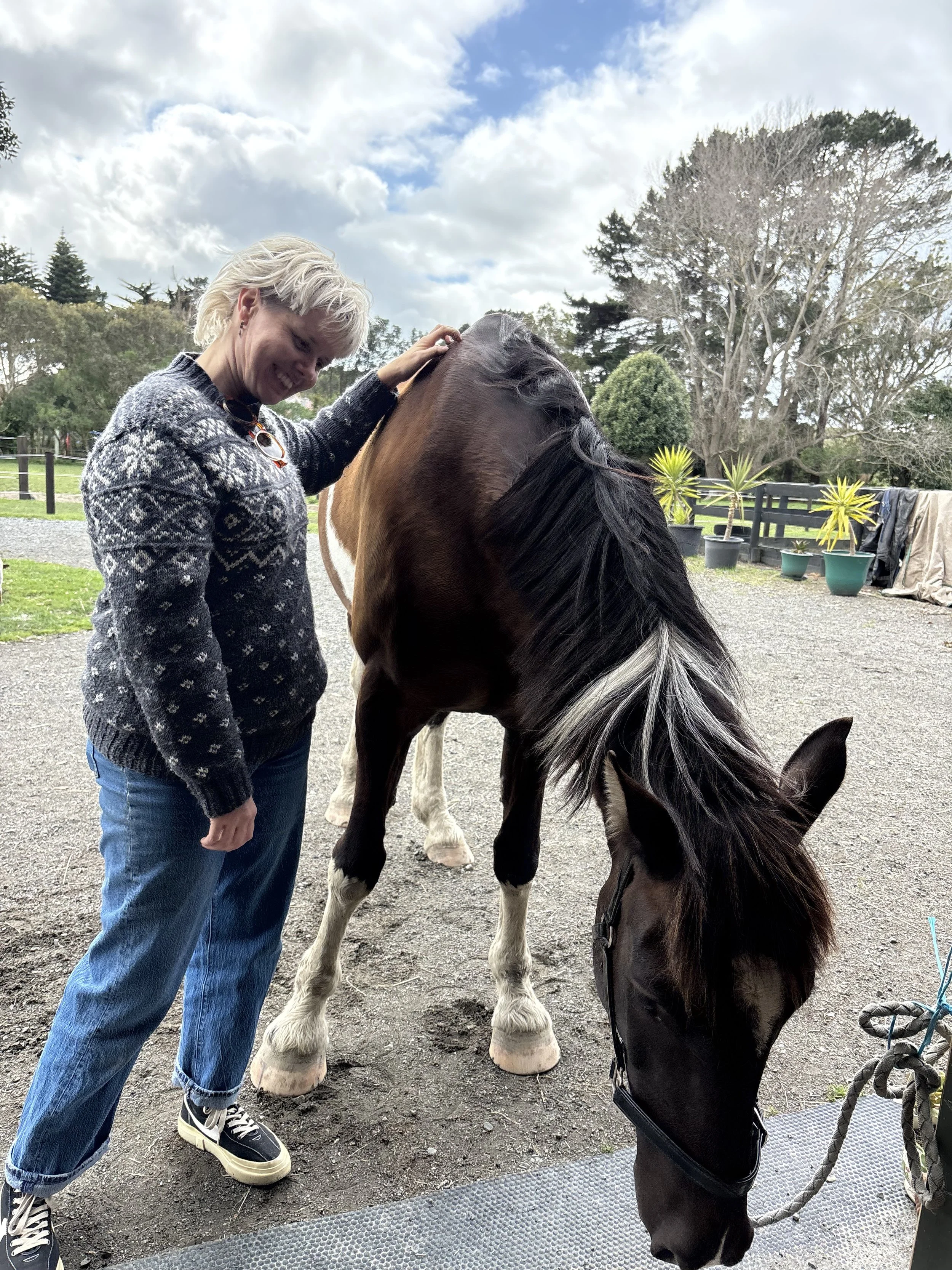 HEAL-horse-respite-therapy-riding
