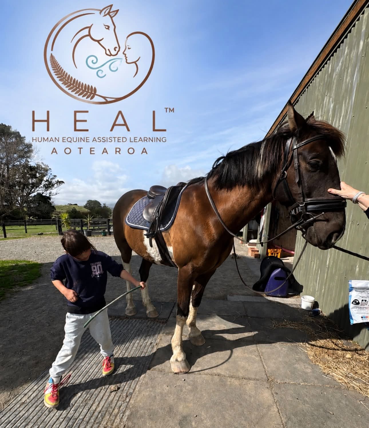 HEAL Sessions Stories from Google Reviews Part 1