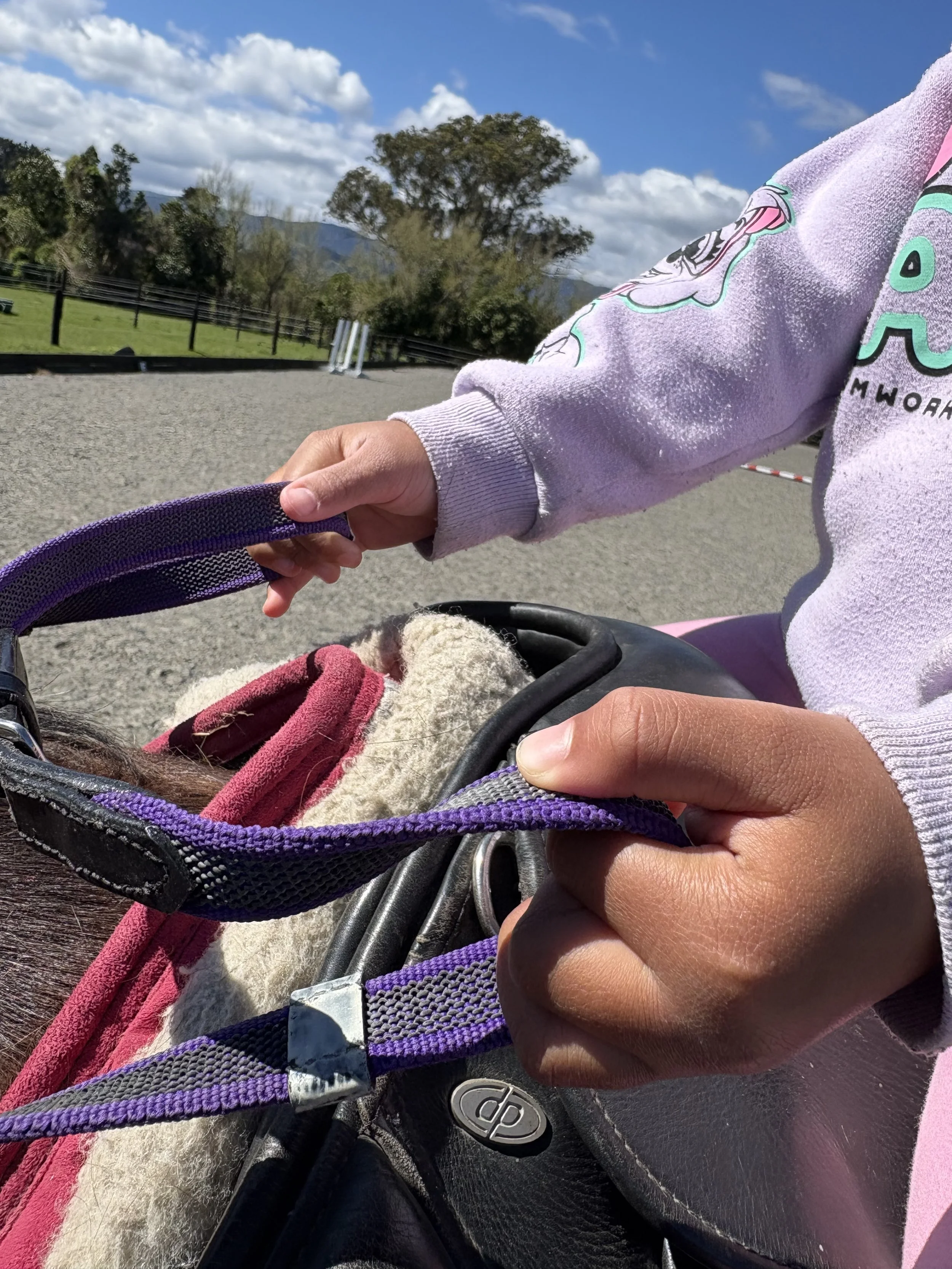 HEAL-confidence-on-horseback-wellington