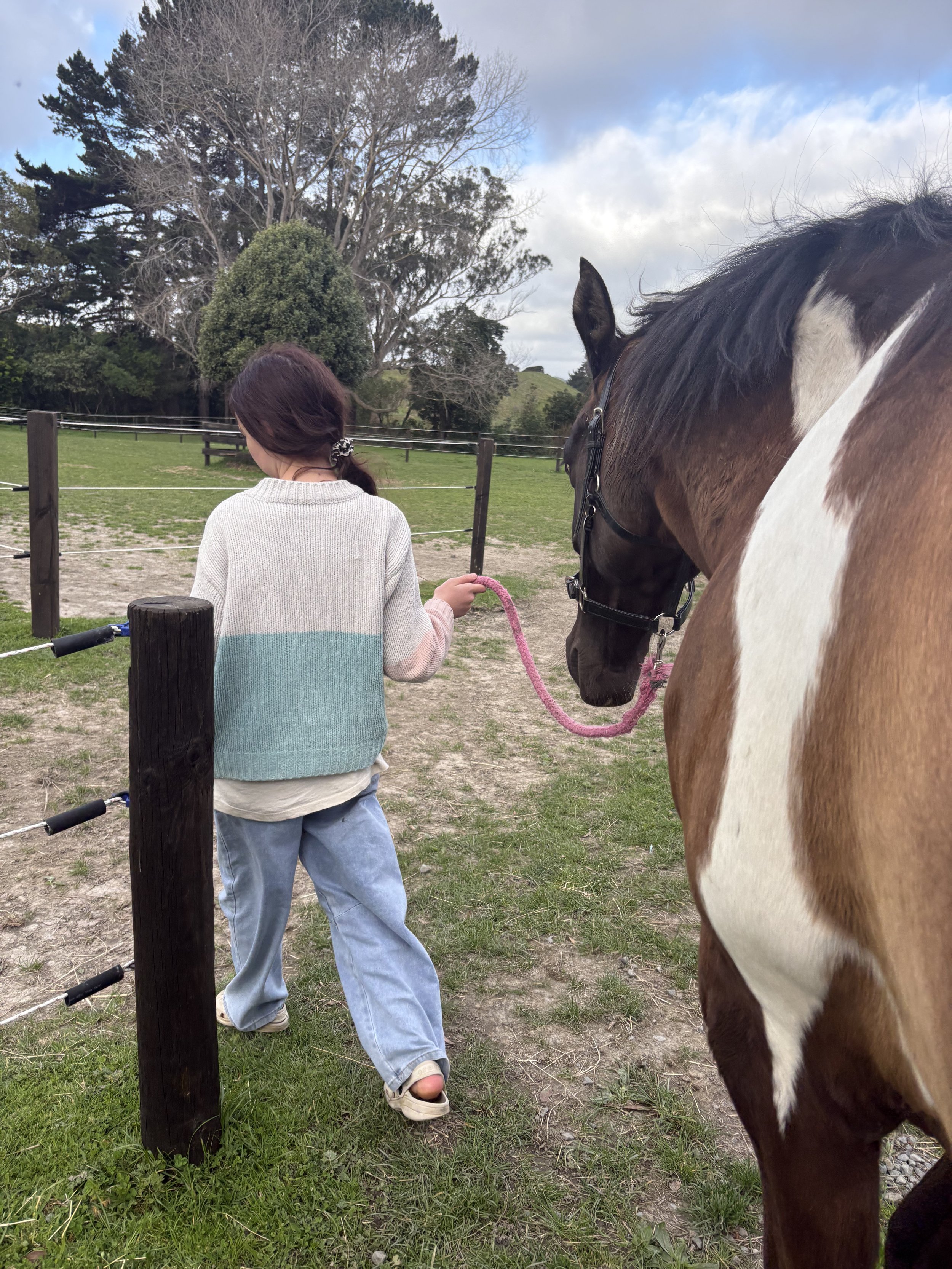 HEAL-children-anxiety-horse-riding-confidence.