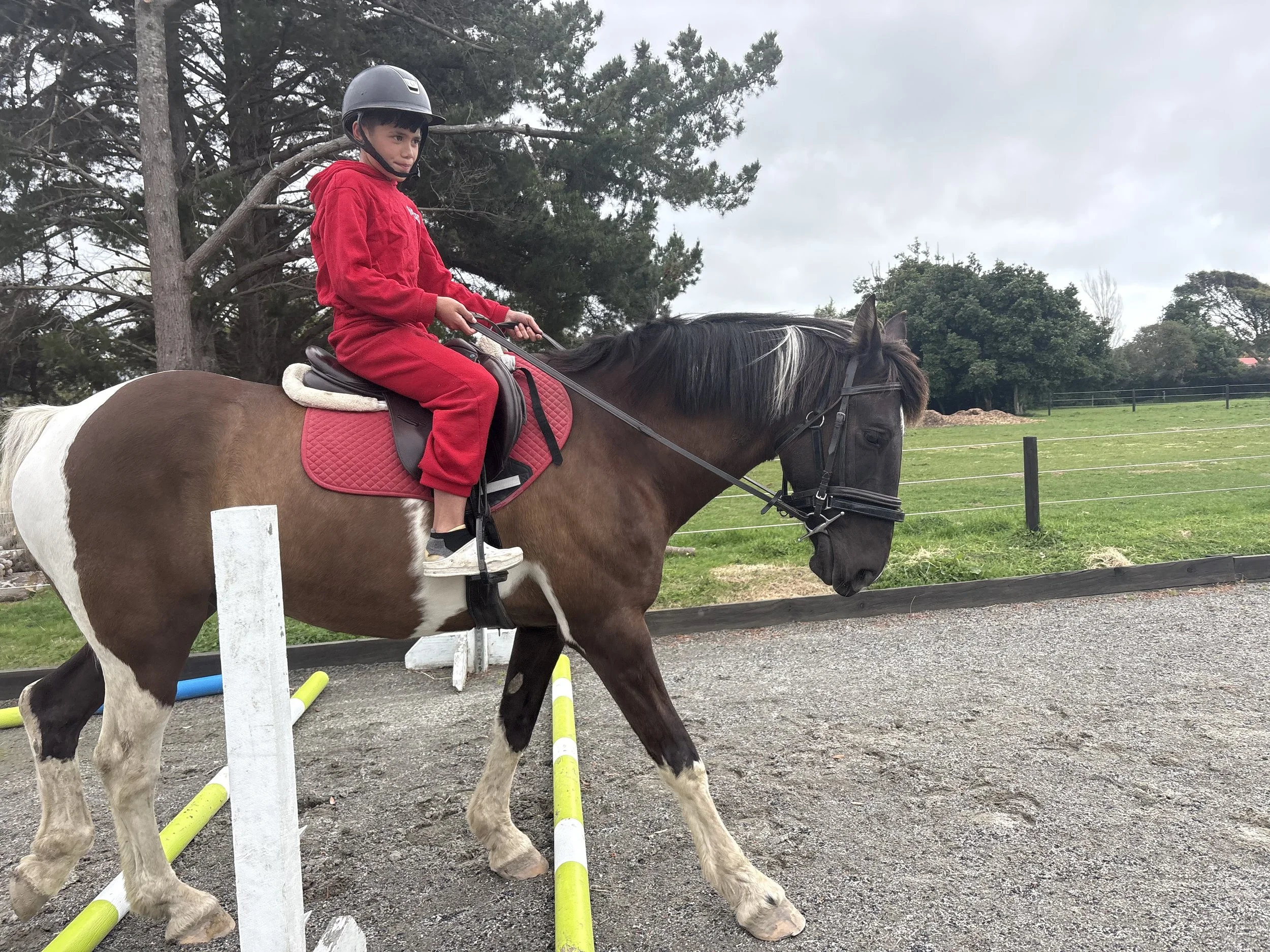 HEAL-teens-tweens-school-kids-horse-riding-horowhenua-after-school