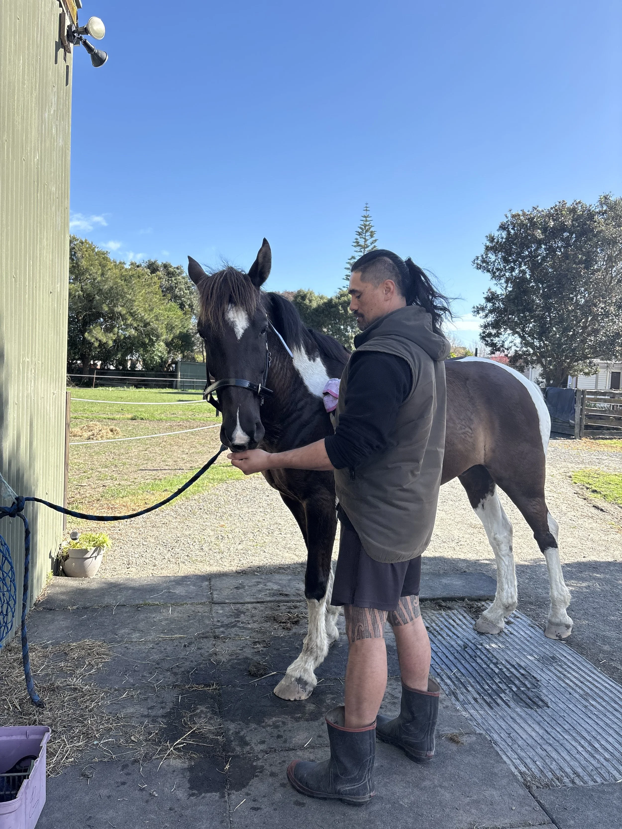 A man grooming a black and white horse in an outdoor stable area on a sunny day. The man is wearing rain boots, shorts, a vest, and a hoodie. The horse is standing calmly with a bridle and halter. There are trees, a fence, and a building in the background.