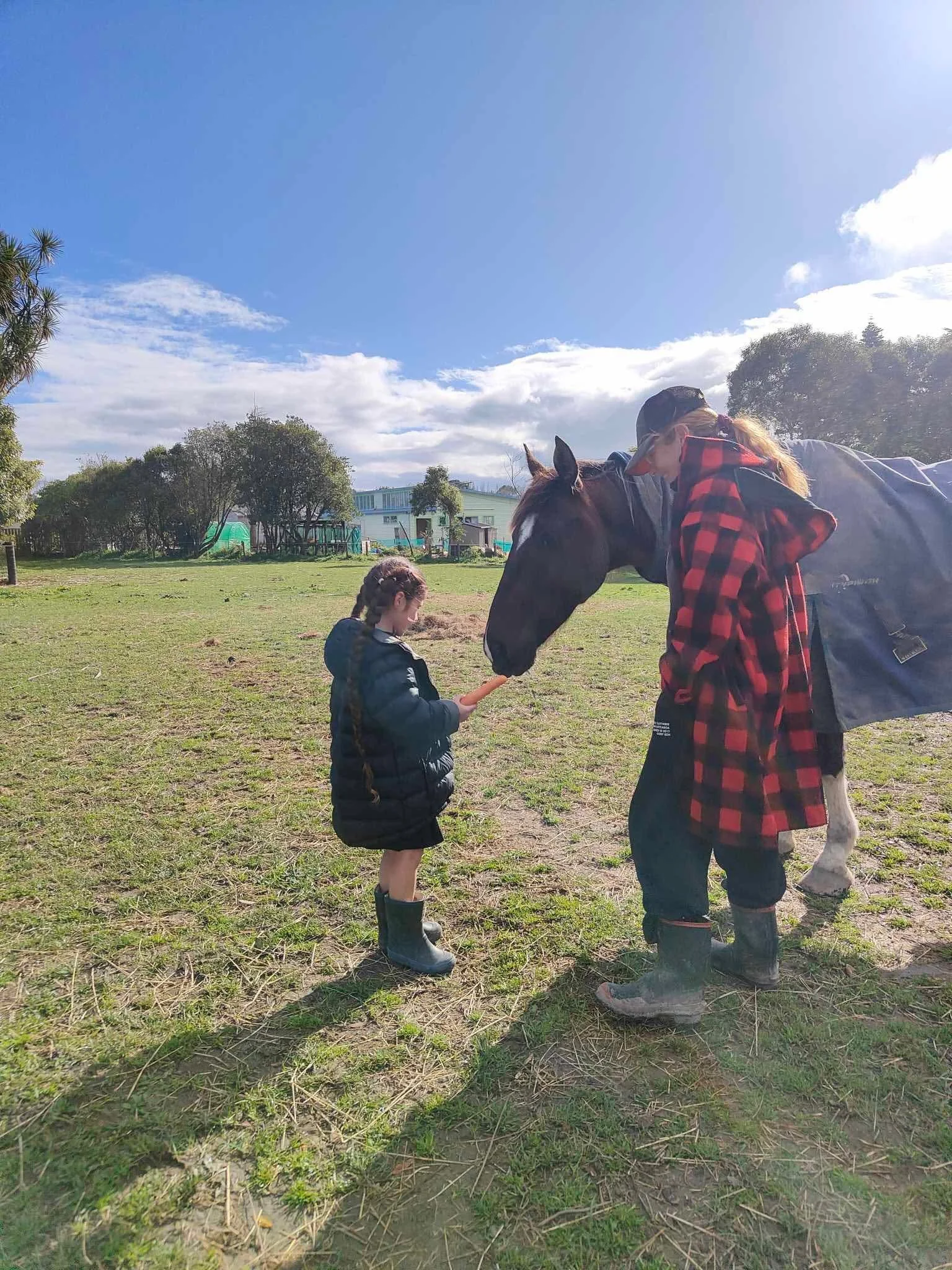 A woman and a young girl with a horse in a grassy field on a sunny day with blue sky and clouds.