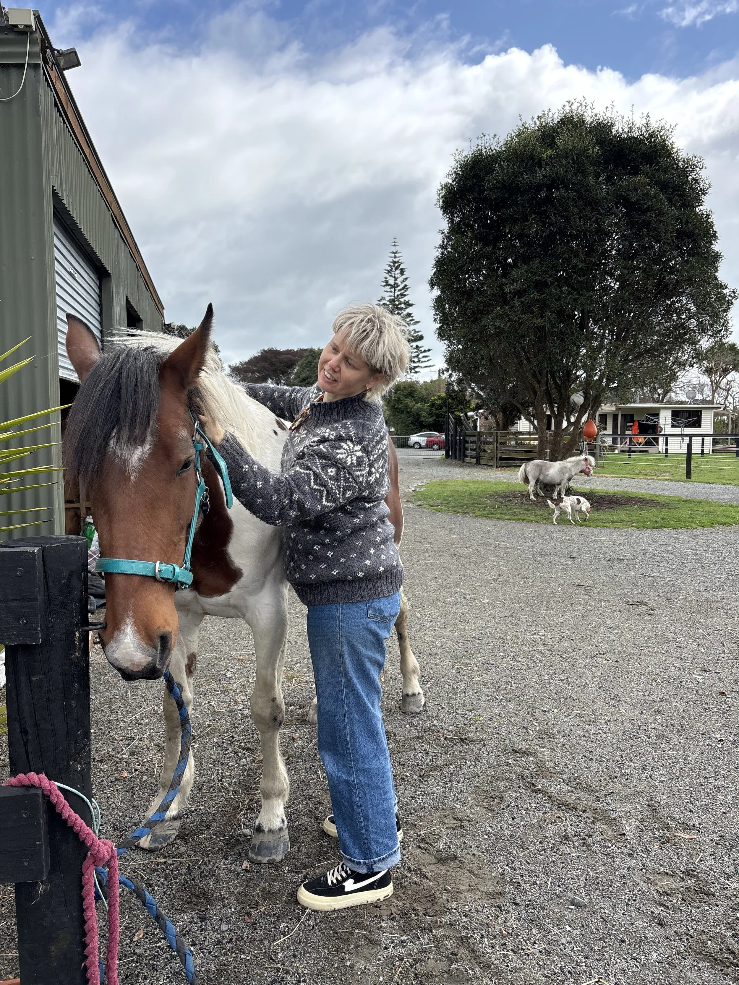 HEAL-method-respite-programme-timeout-horse-therapy