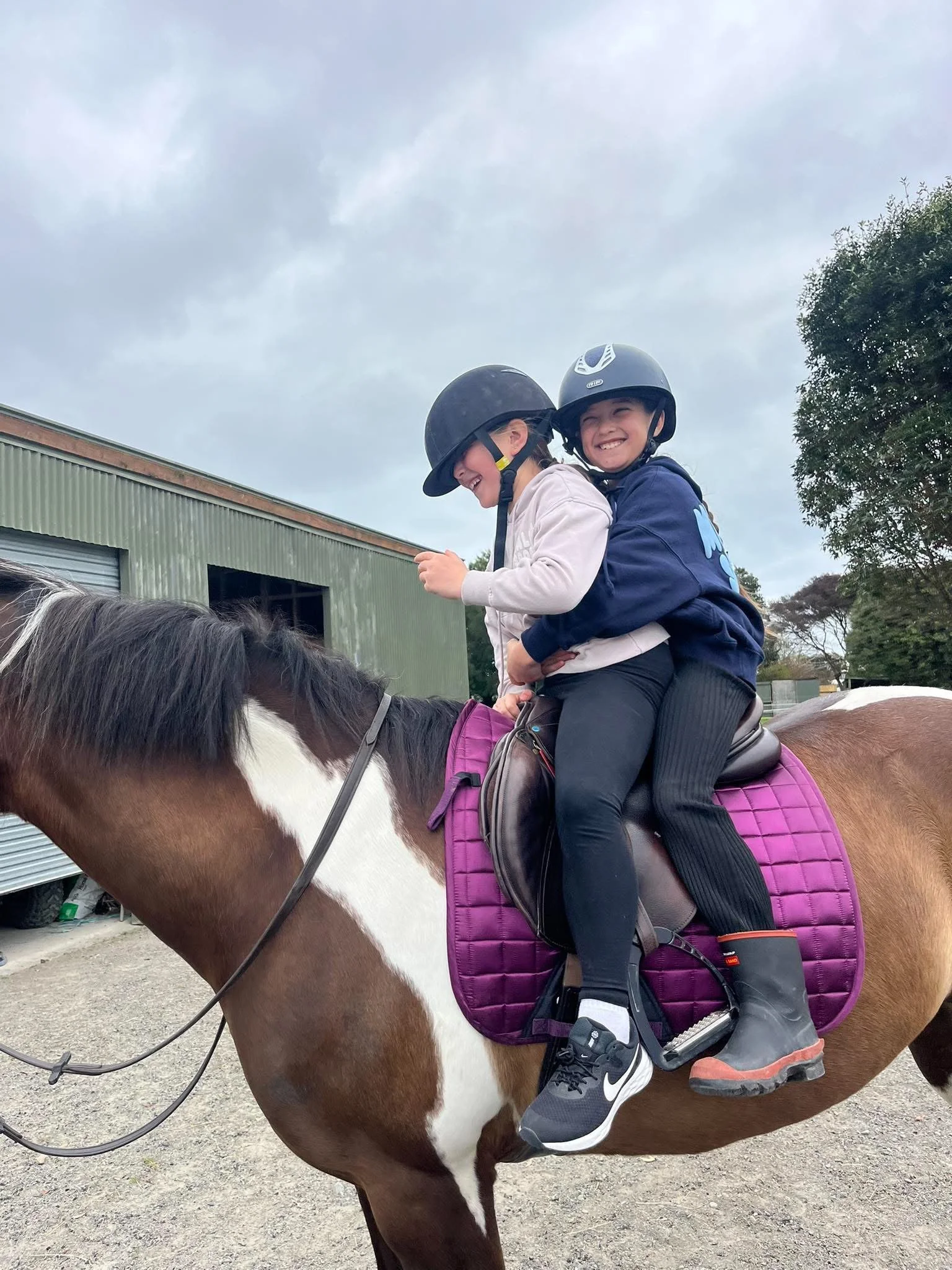 HEAL students and whanau connecting through the horses at human equine assised learning