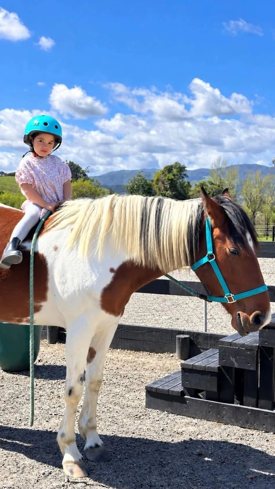 Heal method student riding the young heal horse - human equine assisted learning. Horse riiding and education wellington new zealand