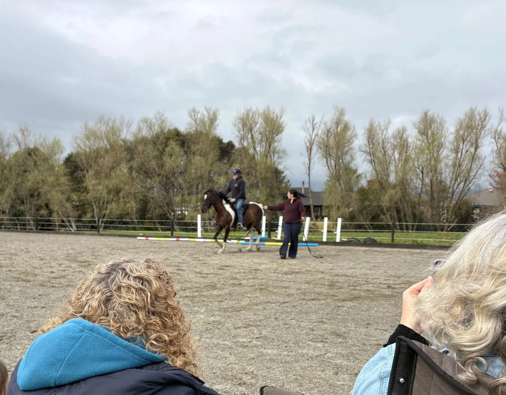 Lessons for adults on moose at HEAL in otaki - Riding lessons for confidence