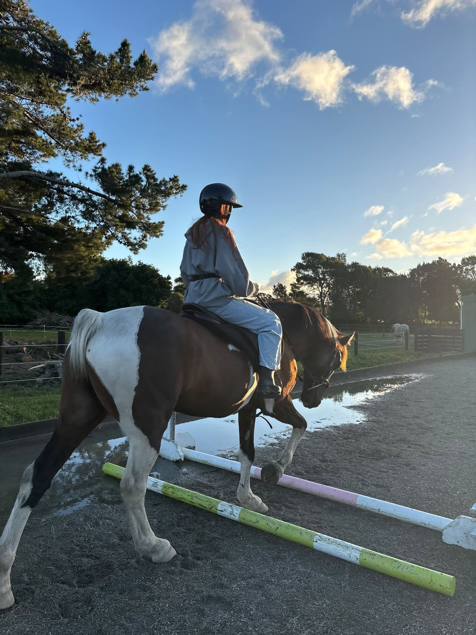 Person riding a horse over colorful ground poles during sunset on a farm, with trees and blue sky in the background.