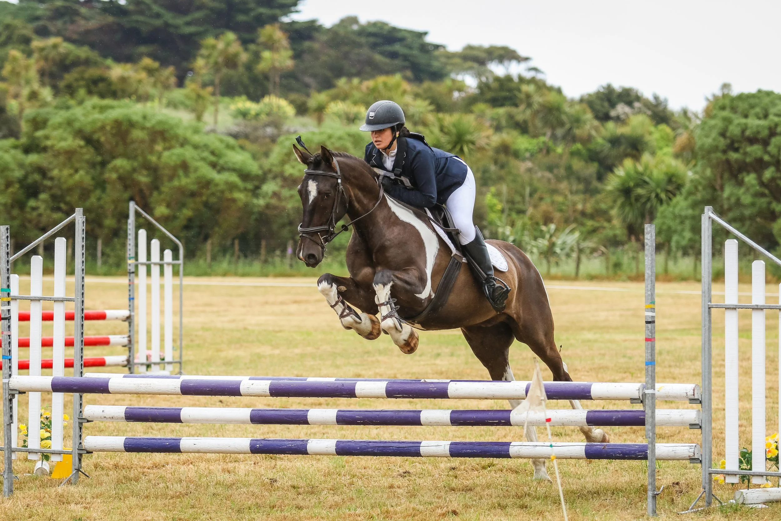 A woman in equestrian riding attire with a helmet and riding jacket jumps a brown and white horse over an obstacle in a show jumping competition, set in a grassy outdoor arena with trees in the background.
