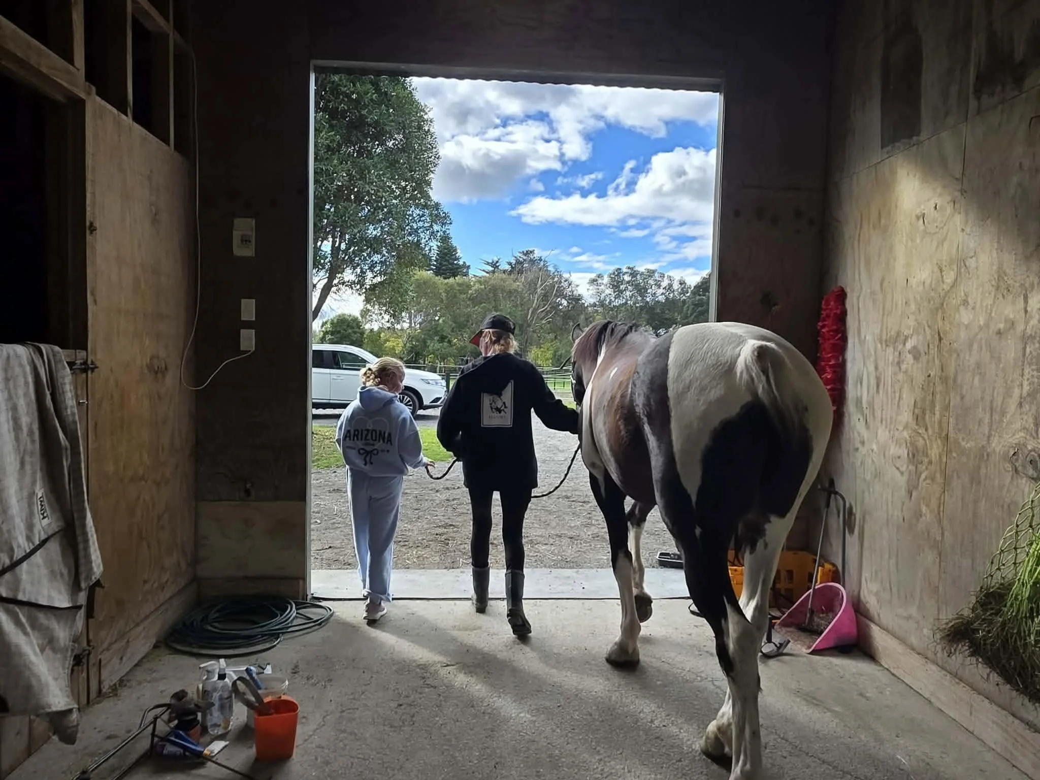 Human equine assisted learning programme