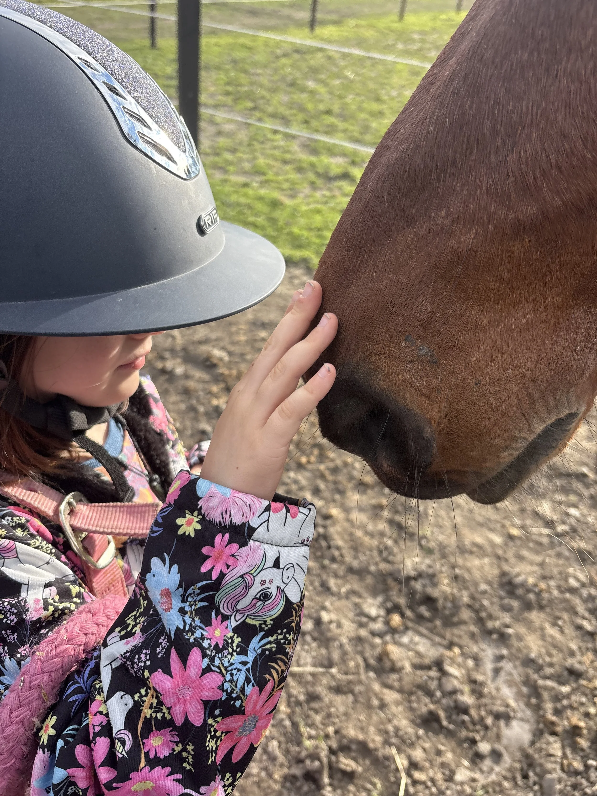 HEAL-Method-Human-equine-assisted-learning