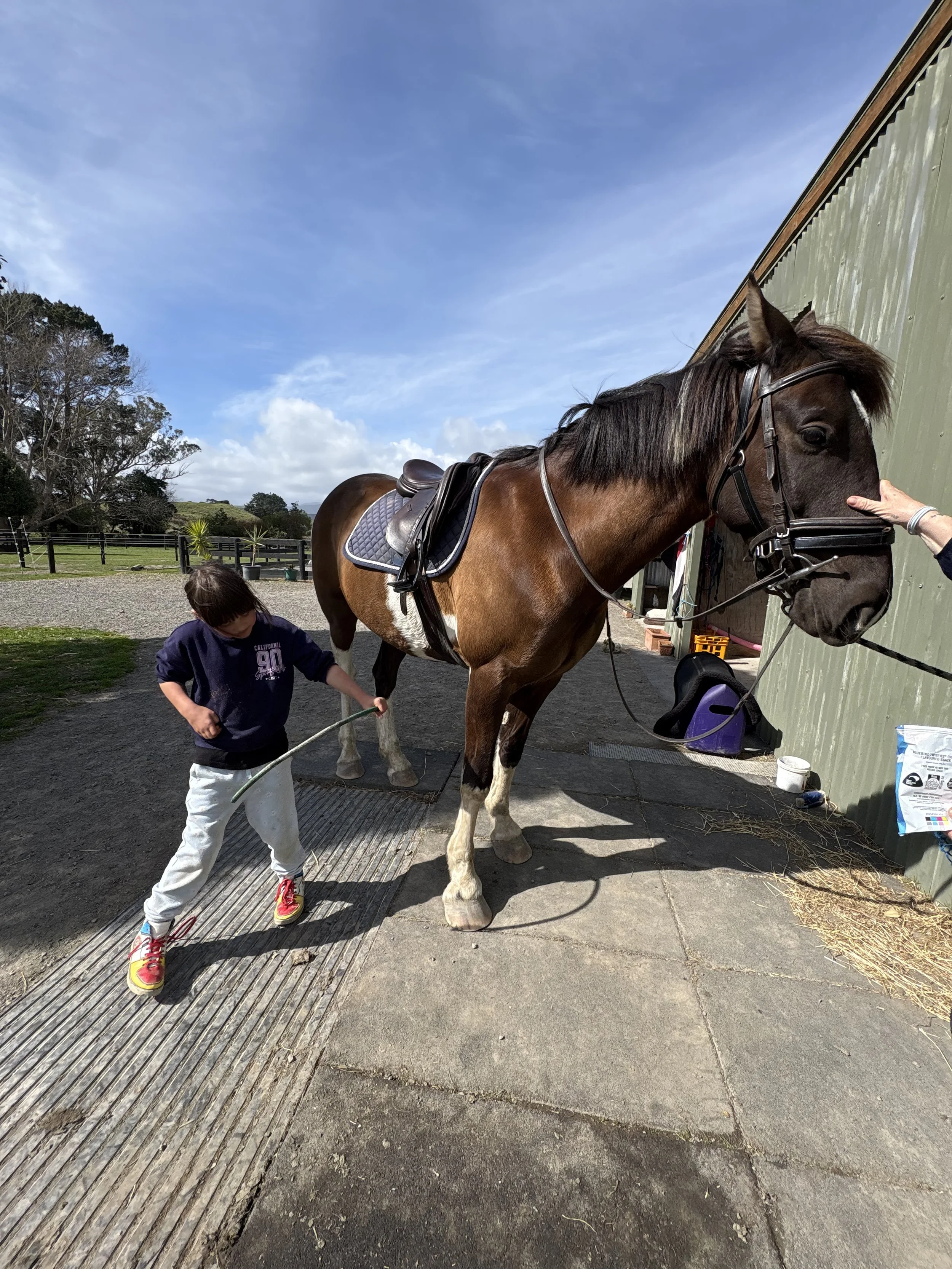 HEAL-non-verbal-autistic-horse-healing