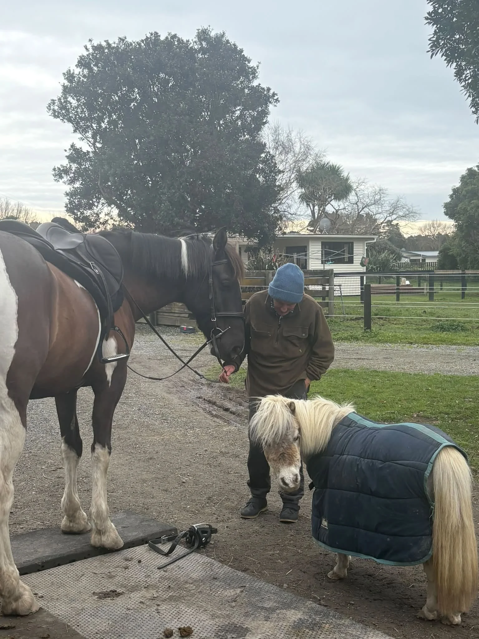 HEAL-elderly-horse-riding-lonely-respite