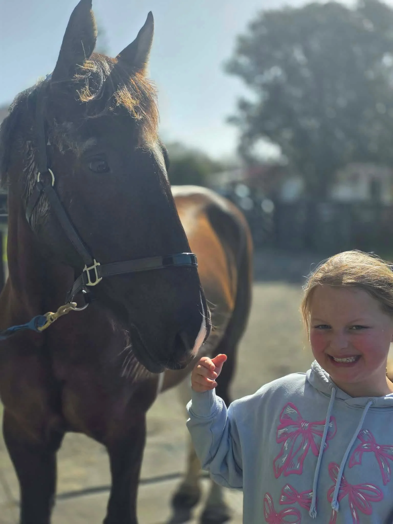 A young girl smiling and wearing a light gray hoodie with pink butterfly designs, standing next to a brown horse with a mane, in an outdoor setting with trees and a clear sky in the background.