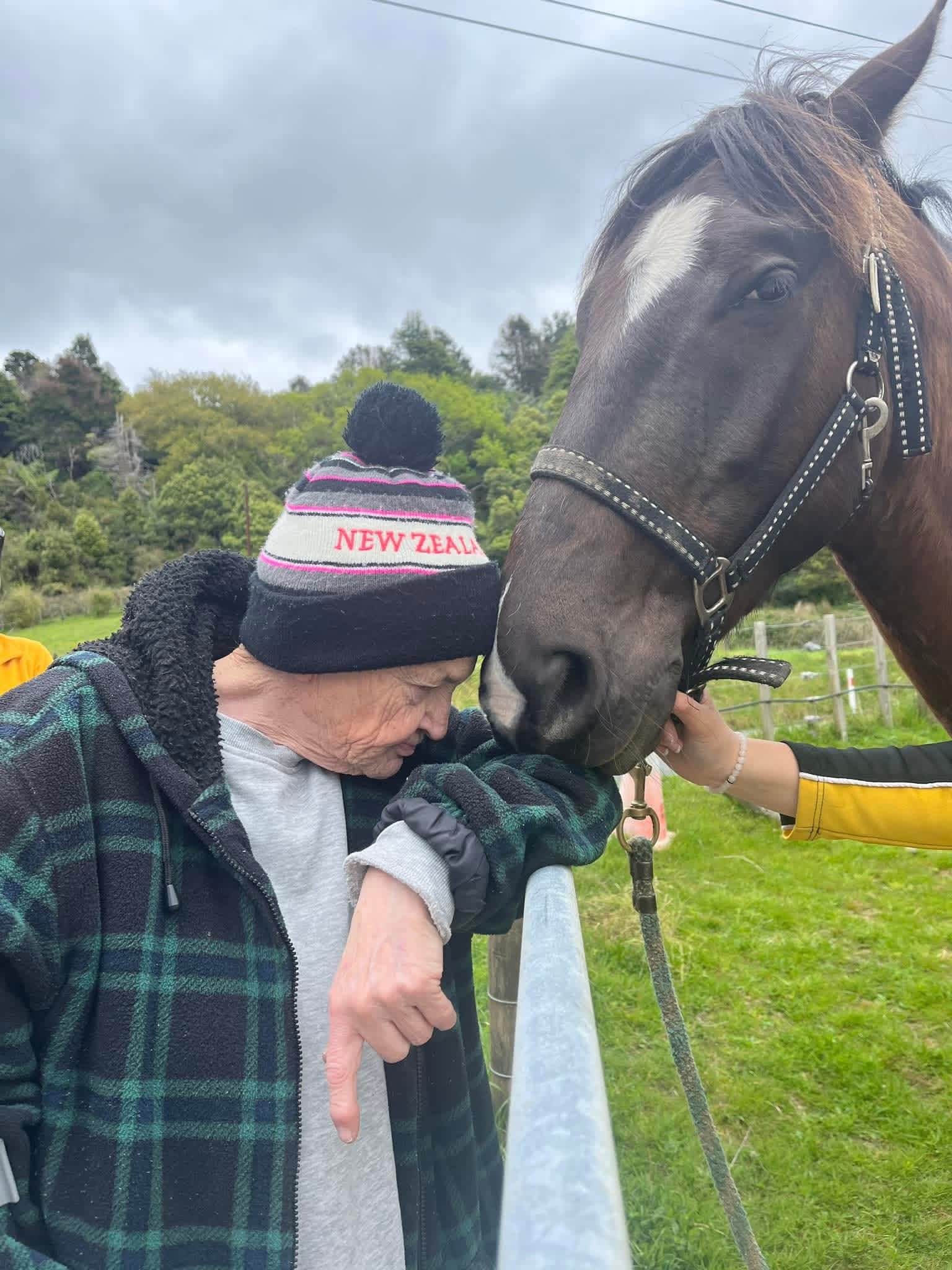 HEAL-Aotearoa-Respite-Horse-Connection