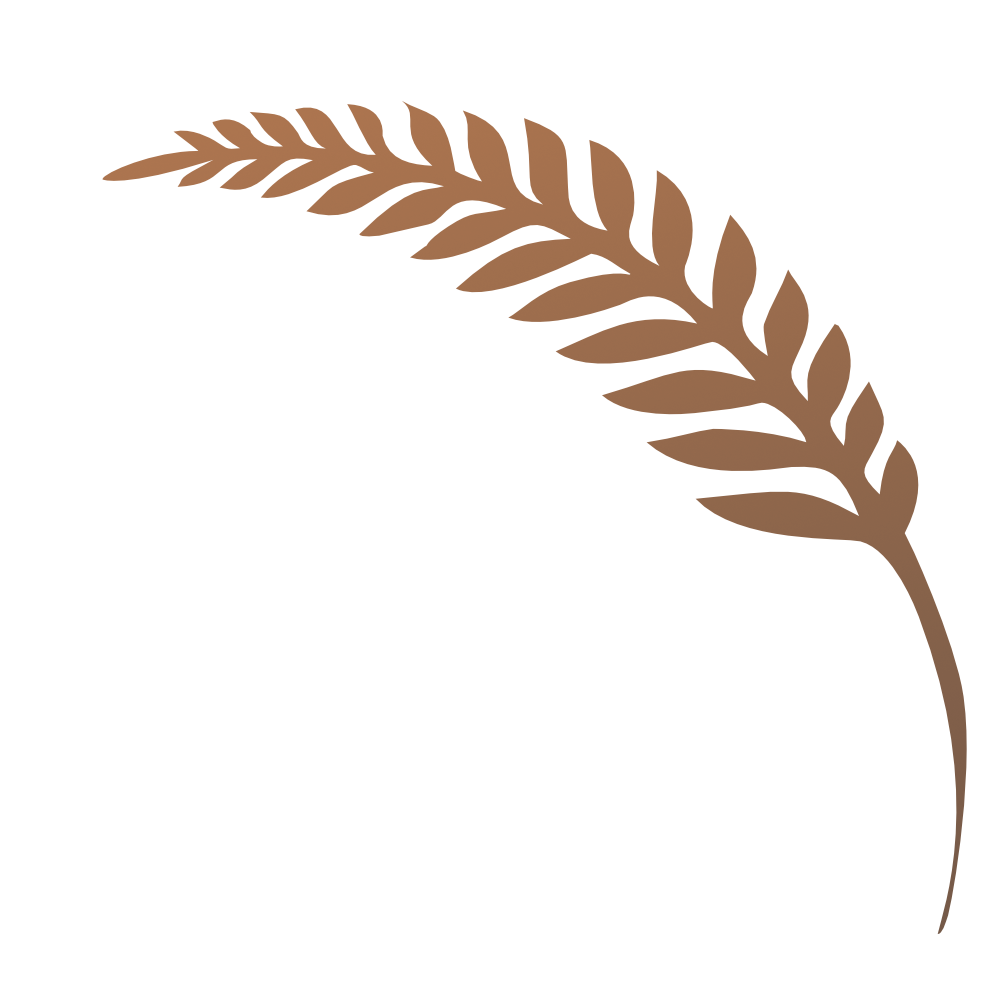 A digital illustration of a brown wheat stalk with a curved shape