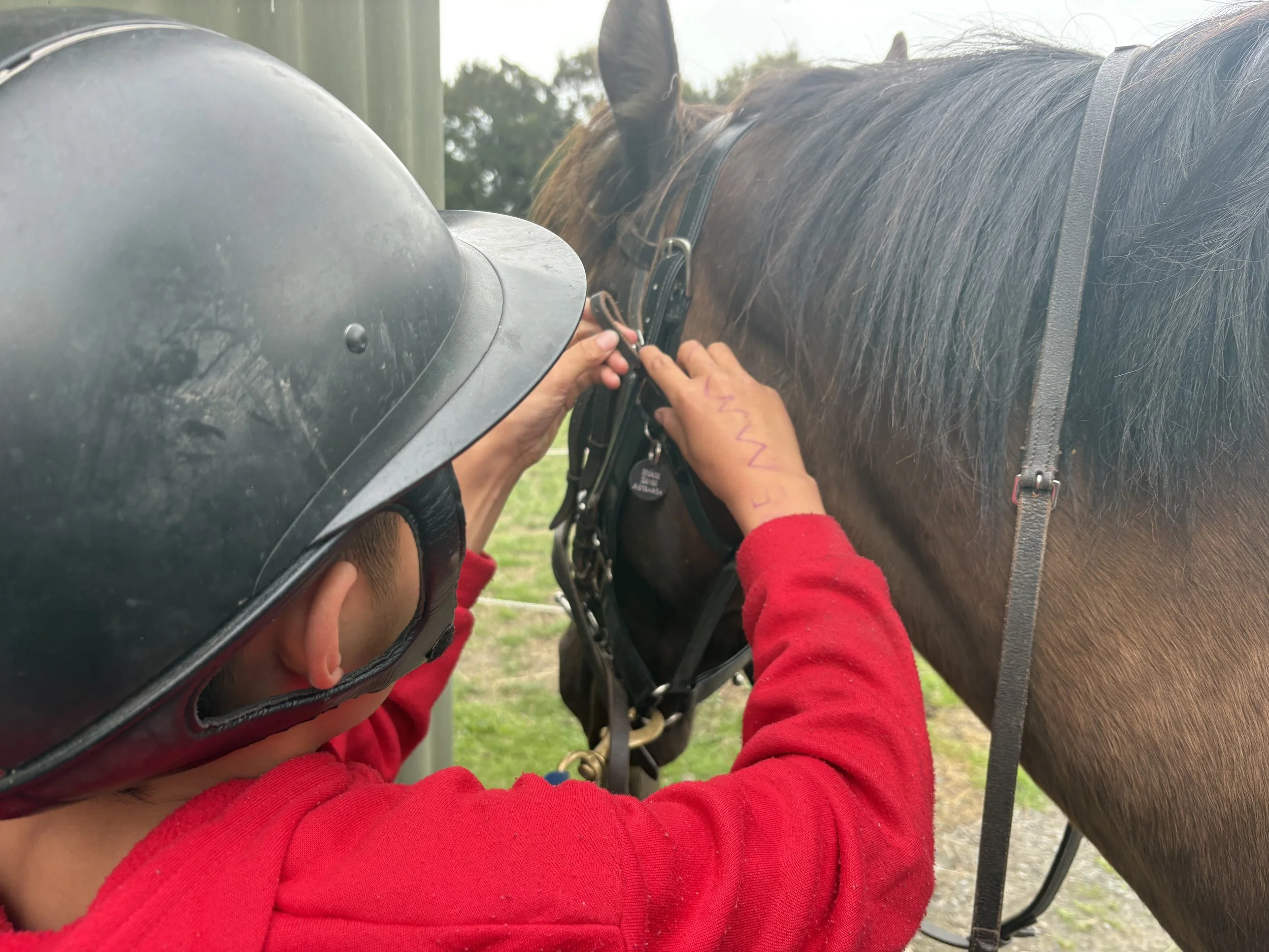 HEAL-fine-motor-skills-education-horse-riding-school-rangatahi