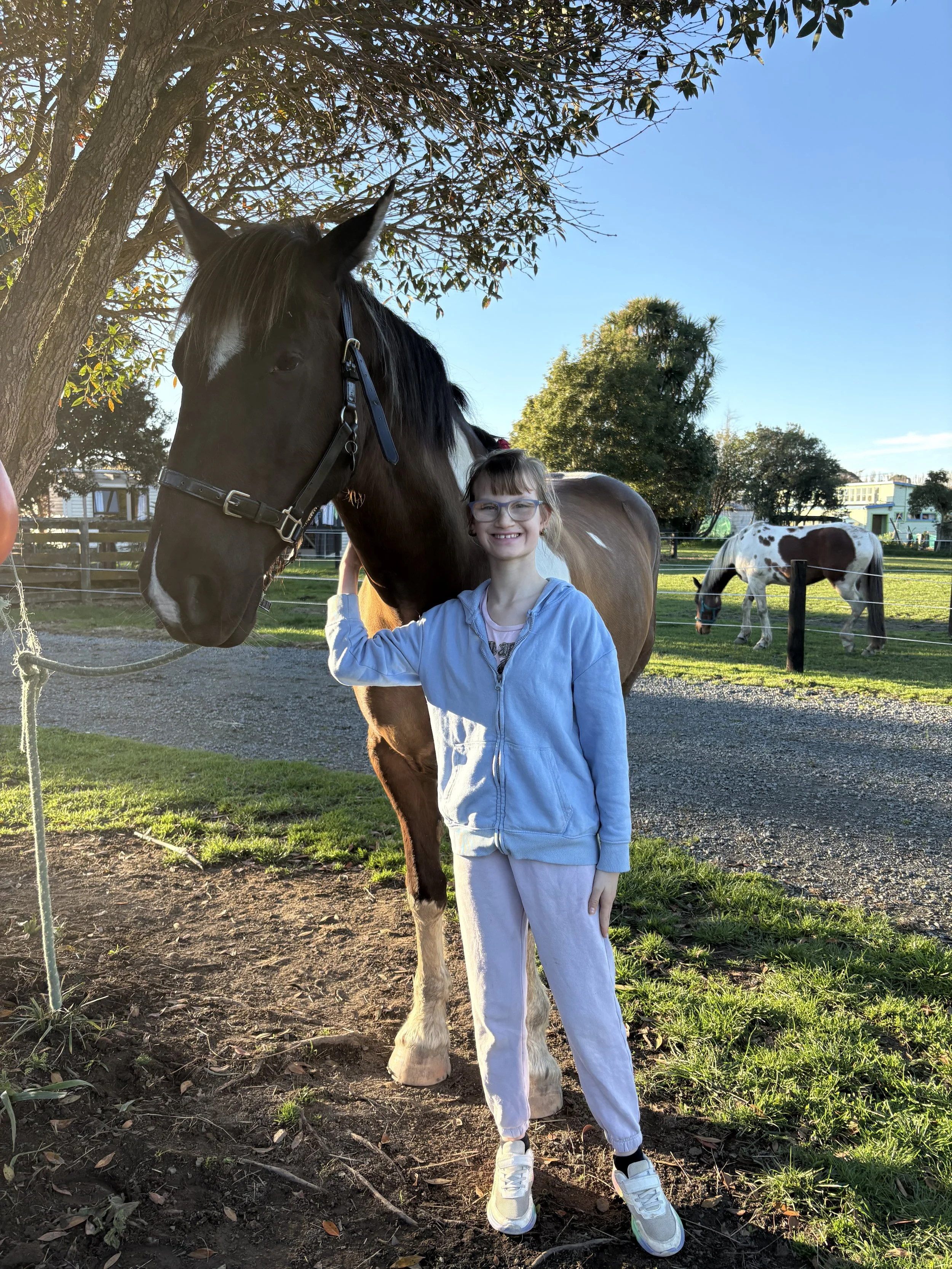 HEAL-special-needs-horse-riding-therapy