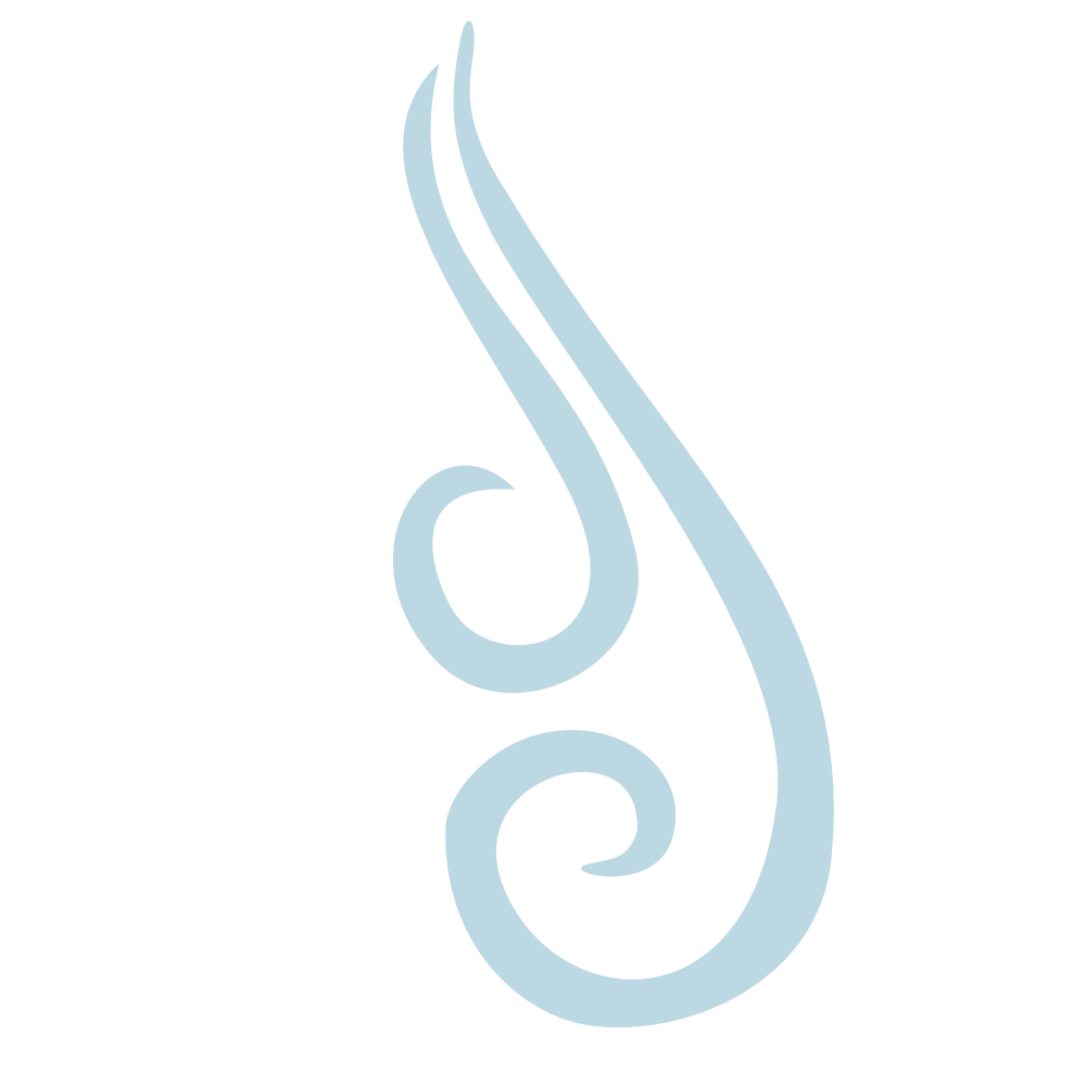 Stylized illustration of a hair strand with a curl at the end.