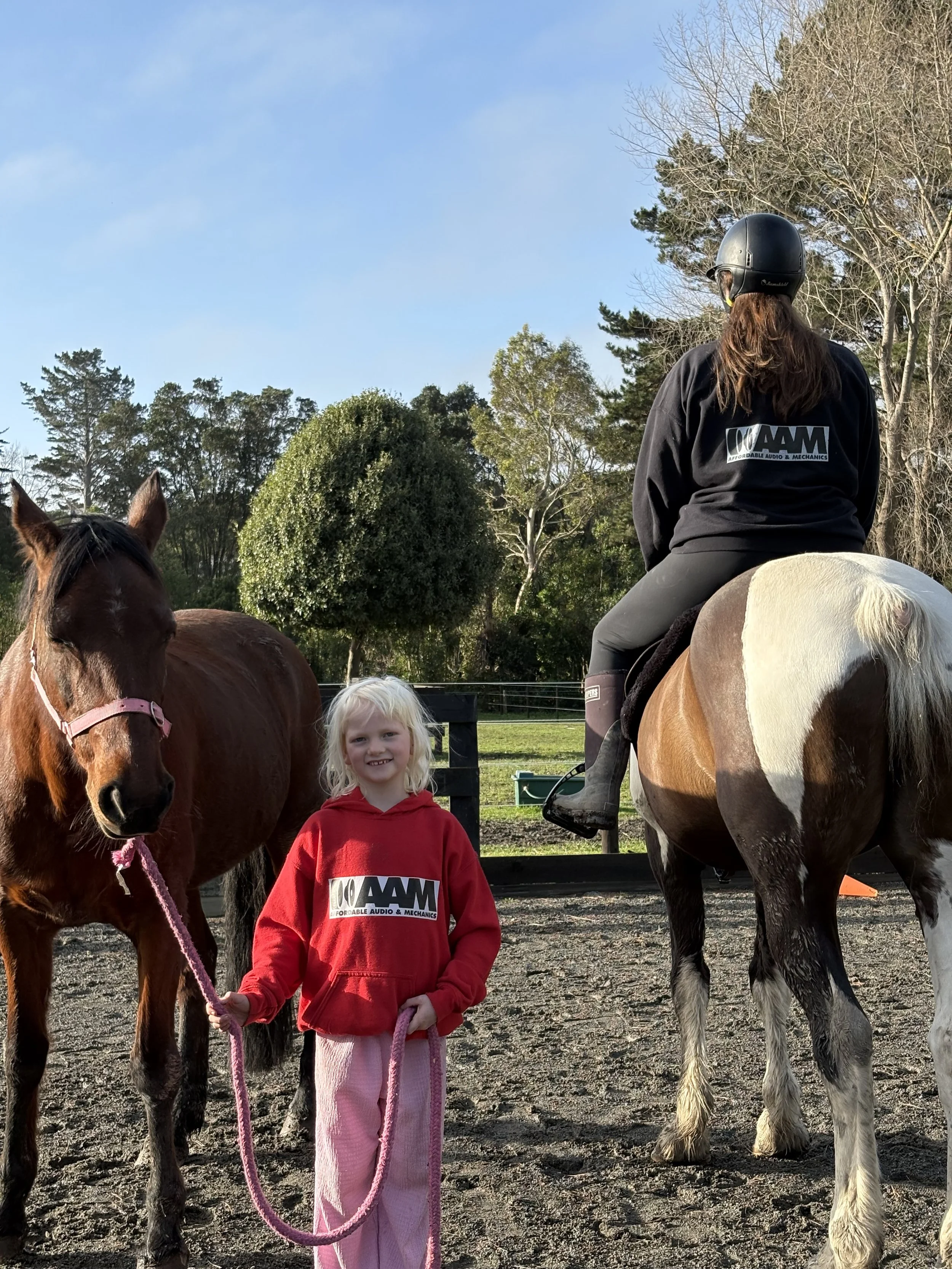 Affordable Audio Mechanics is a sponsor of HEAL and supplies a regular koha to help with the horses.