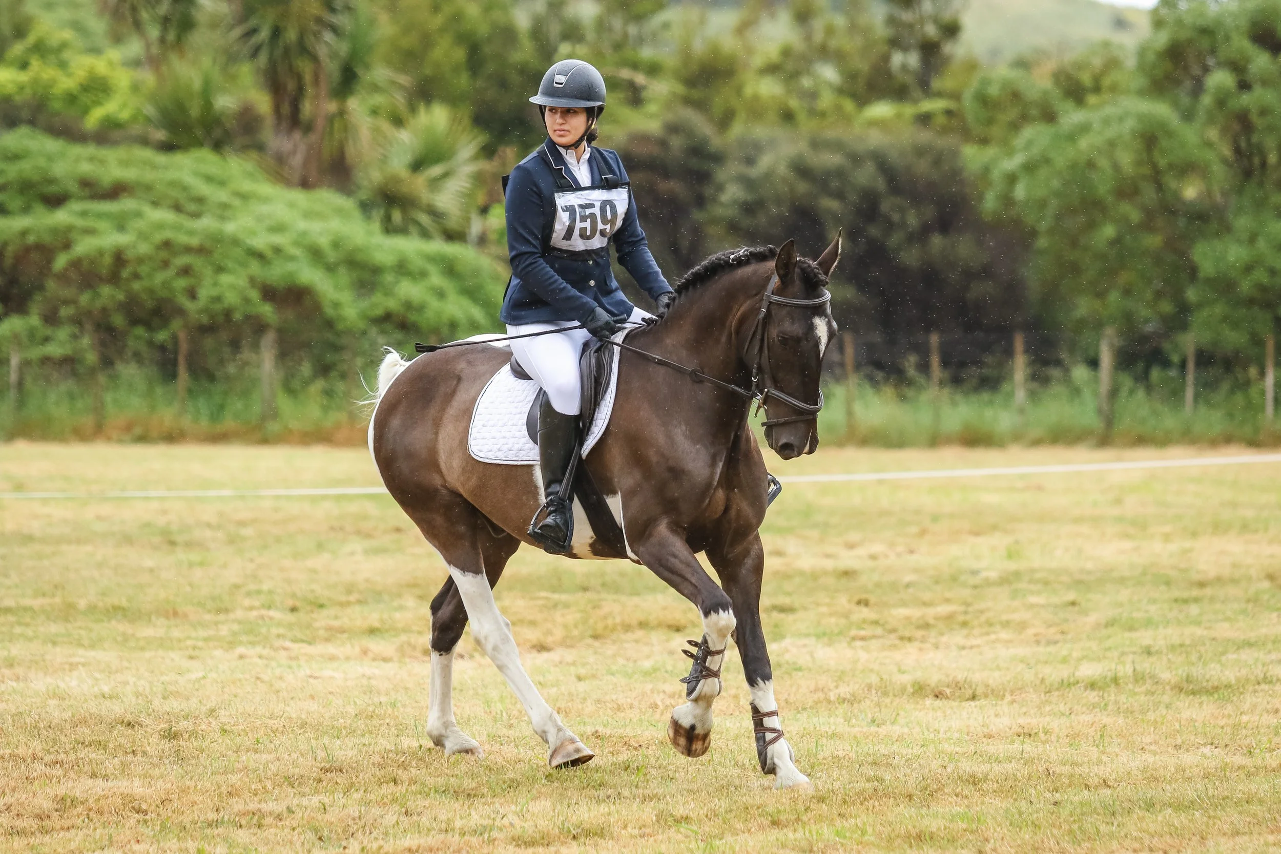 A woman riding a brown and white horse on a grassy field with trees in the background, wearing a navy jacket, white riding pants, a black helmet, and a numbered vest.