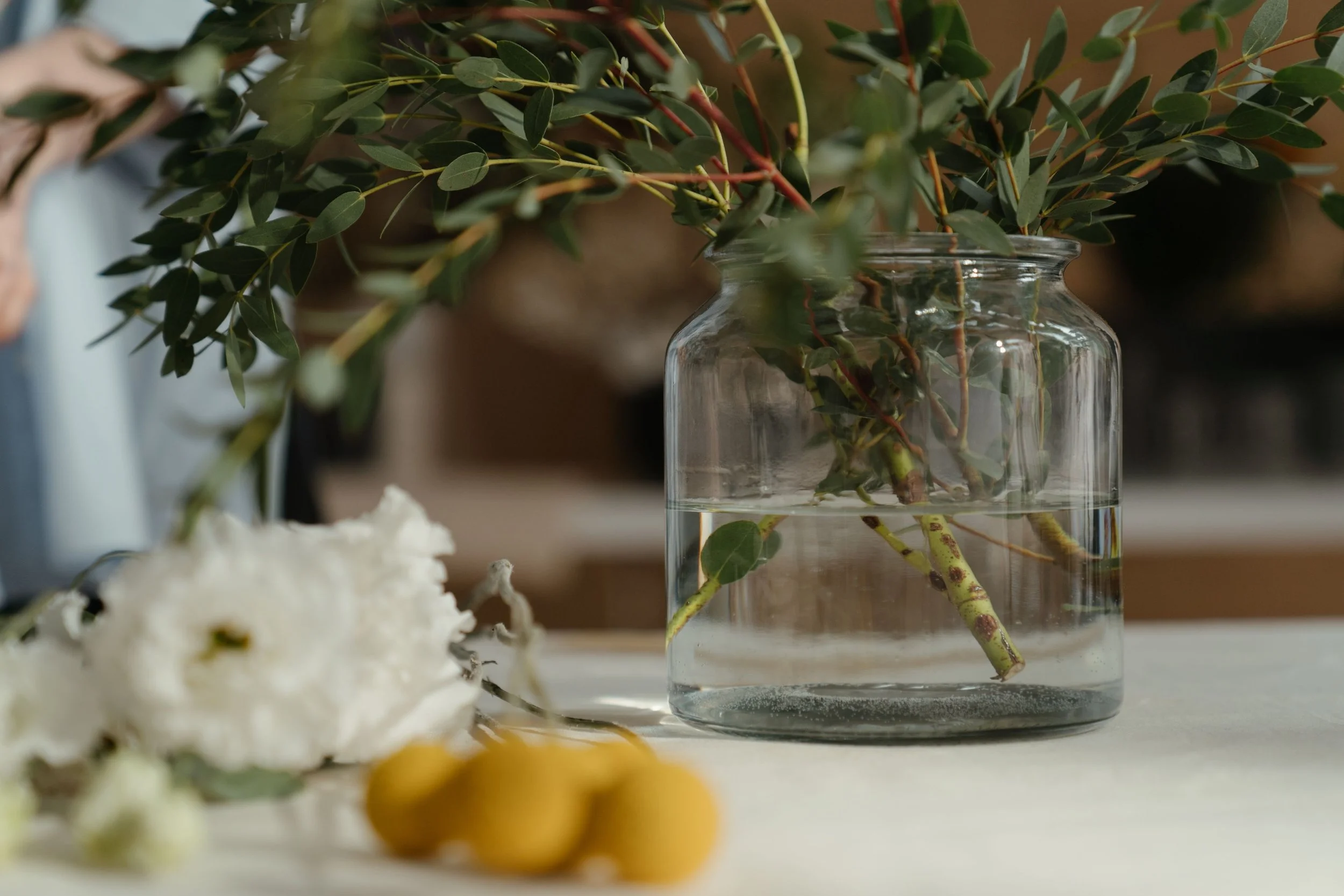vase with water and plant